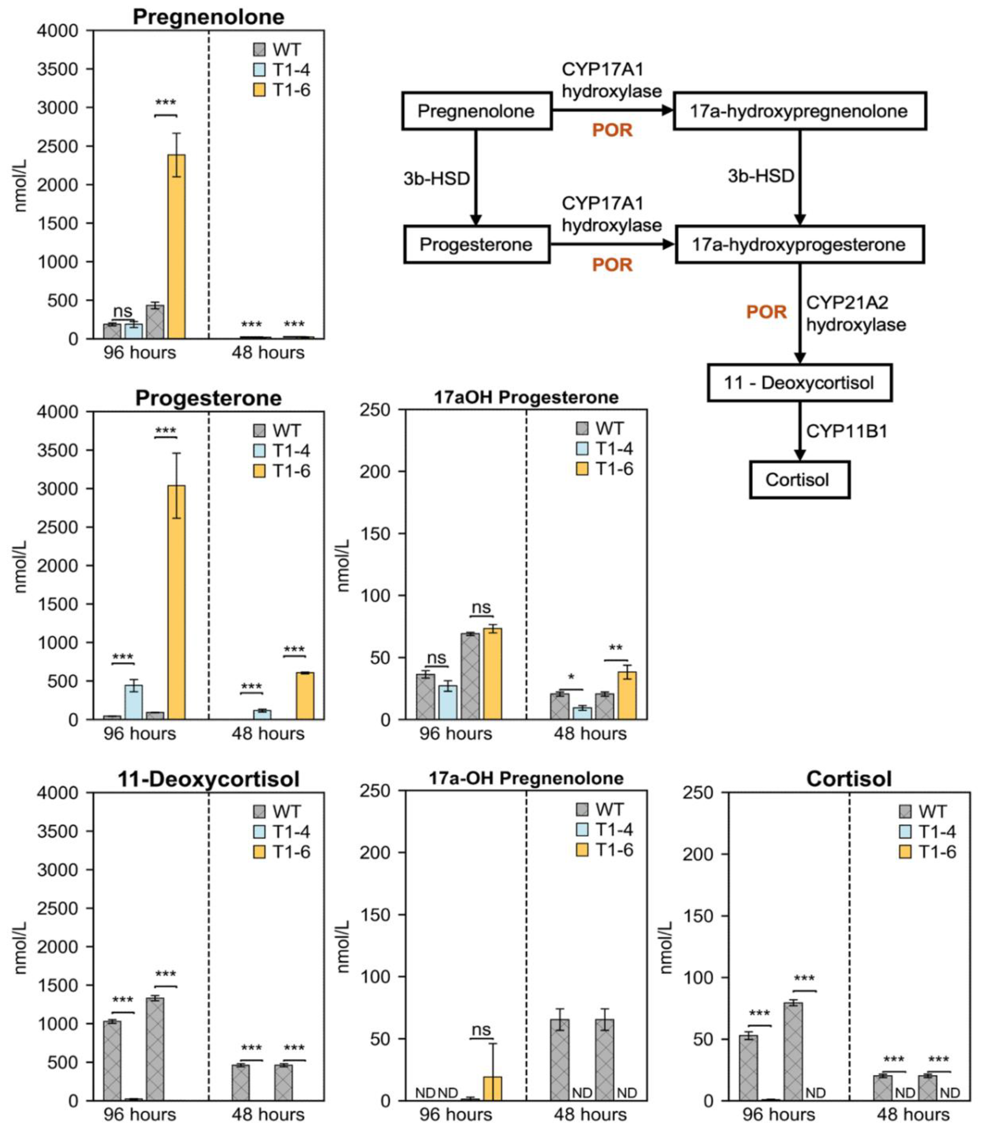 Preprints 207754 g005 Preprints 207754 g005