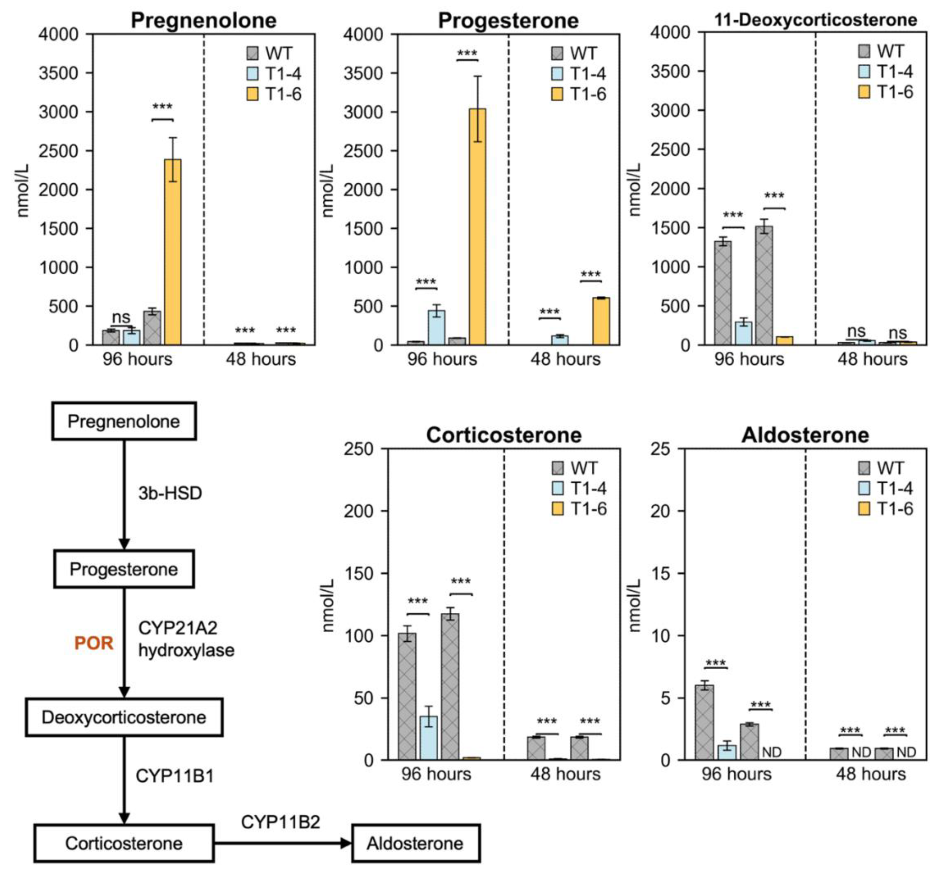 Preprints 207754 g006 Preprints 207754 g006
