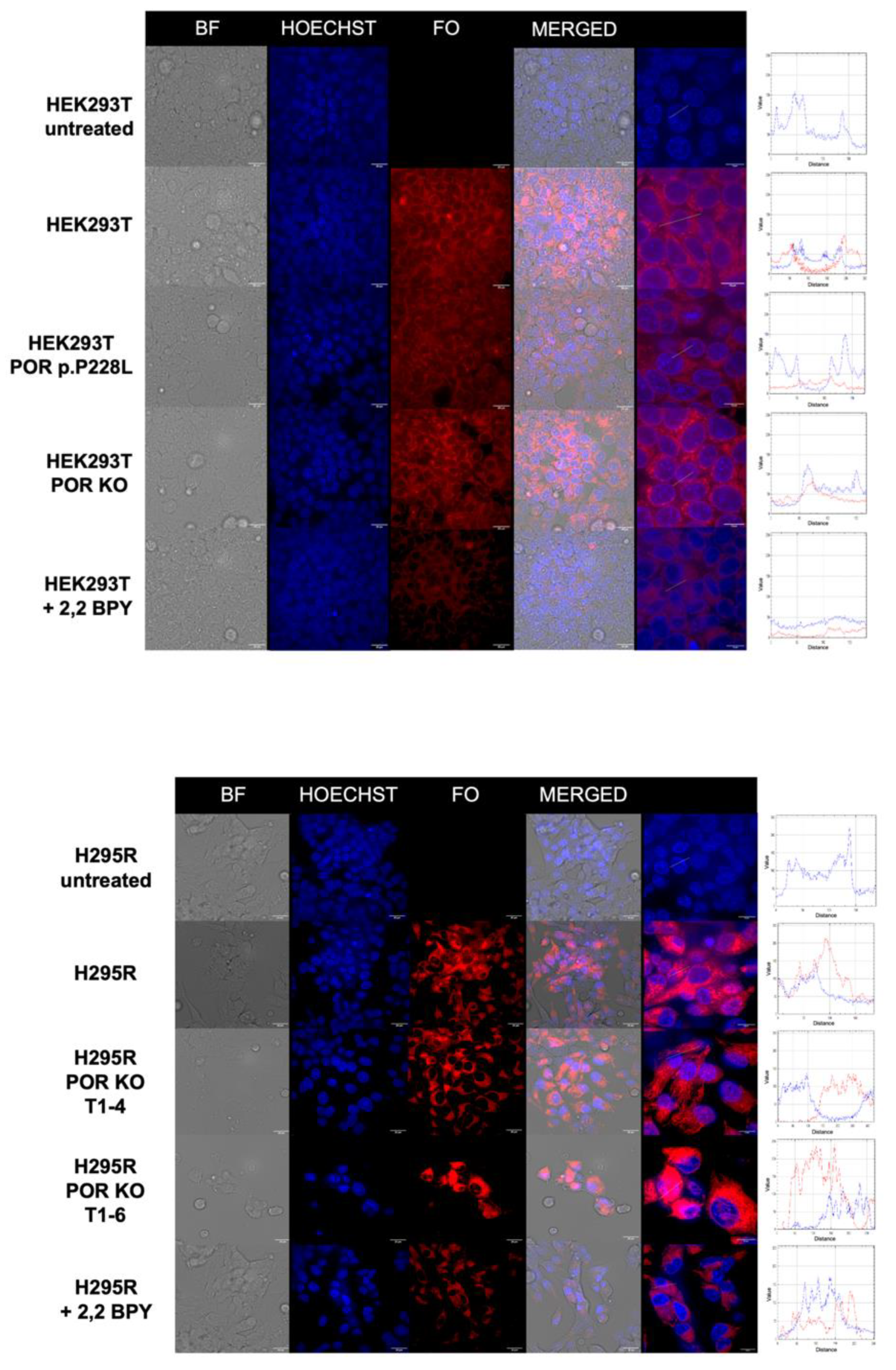 Preprints 207754 g011 Preprints 207754 g011