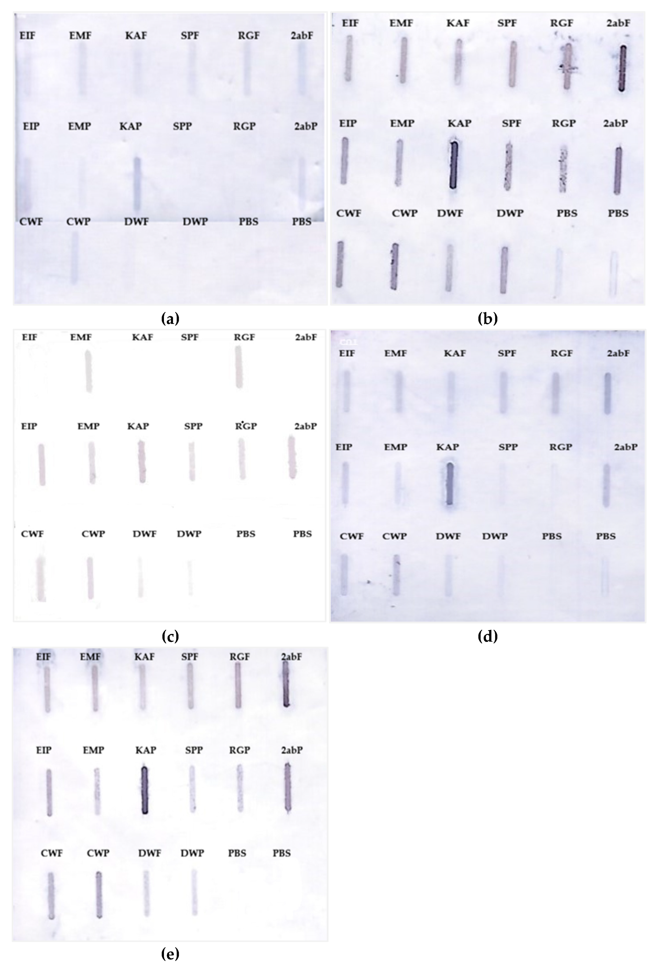 Preprints 223477 g003