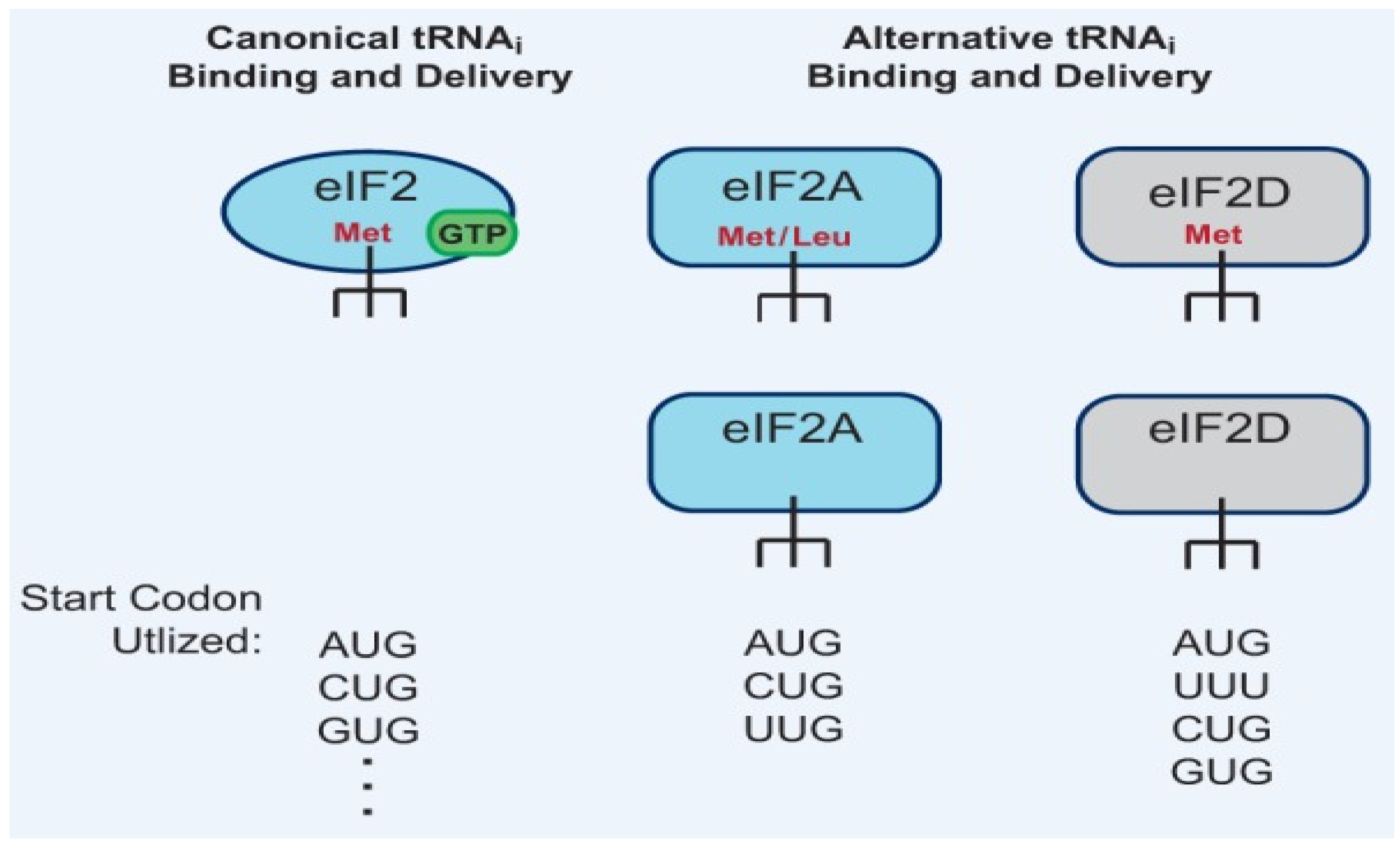 Preprints 163026 g001