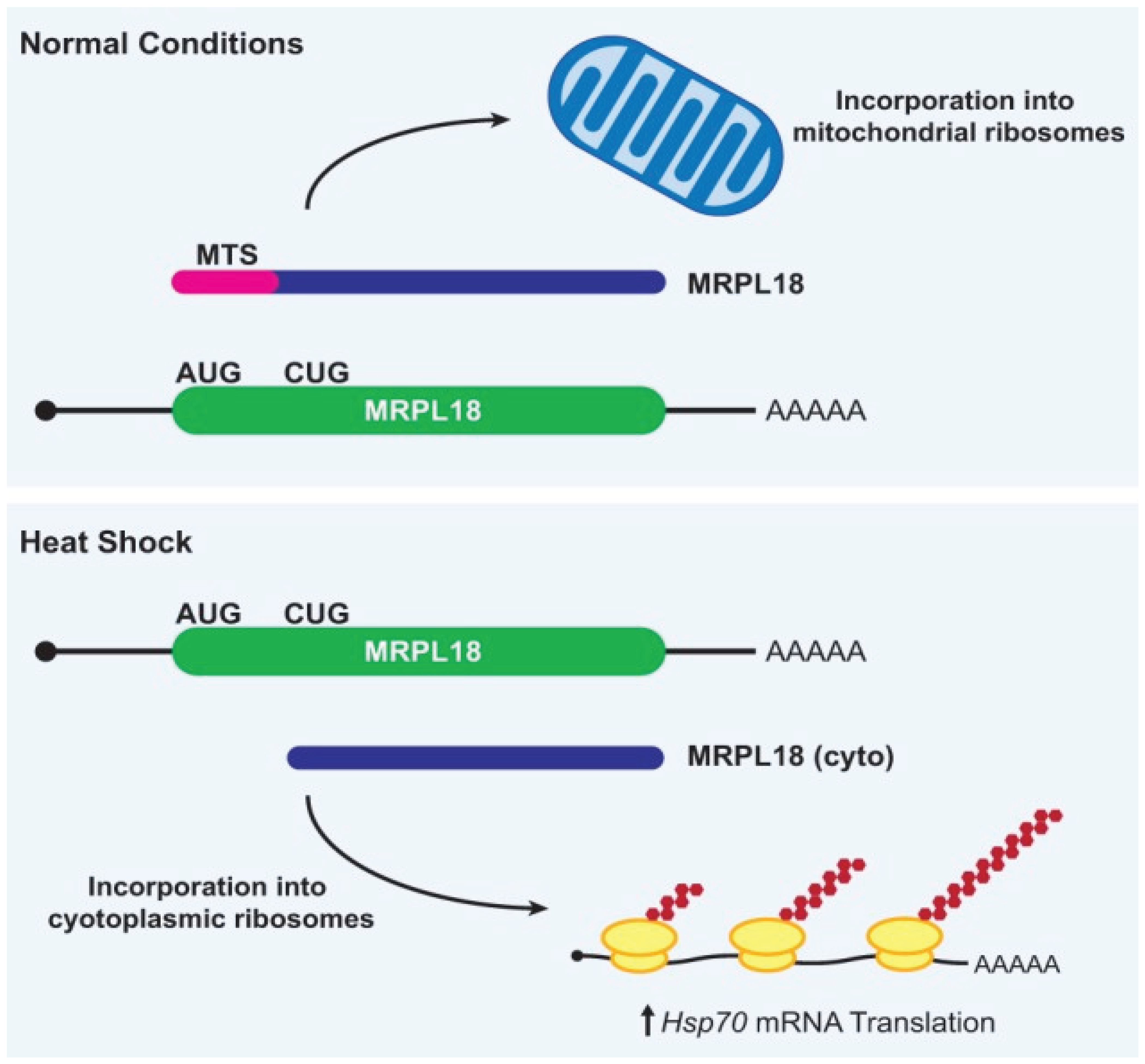 Preprints 163026 g002