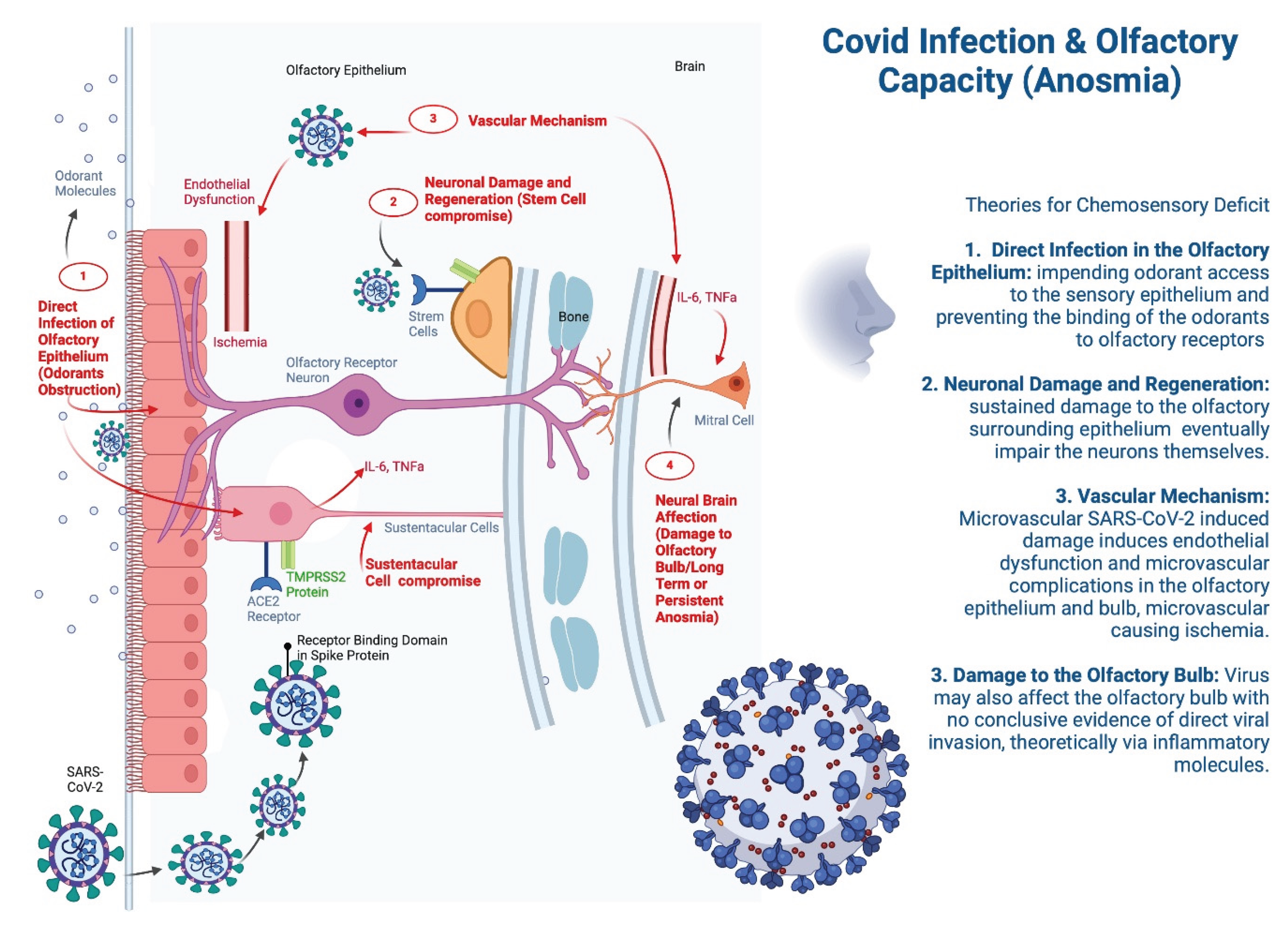 Preprints 163028 g003