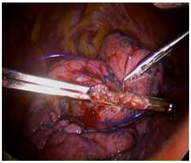 Preprints 153461 g001