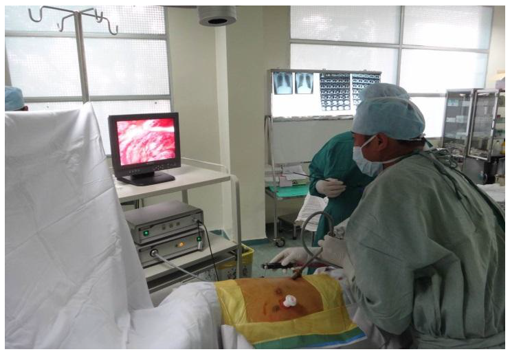 Preprints 153461 g002