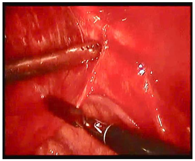 Preprints 153461 g004