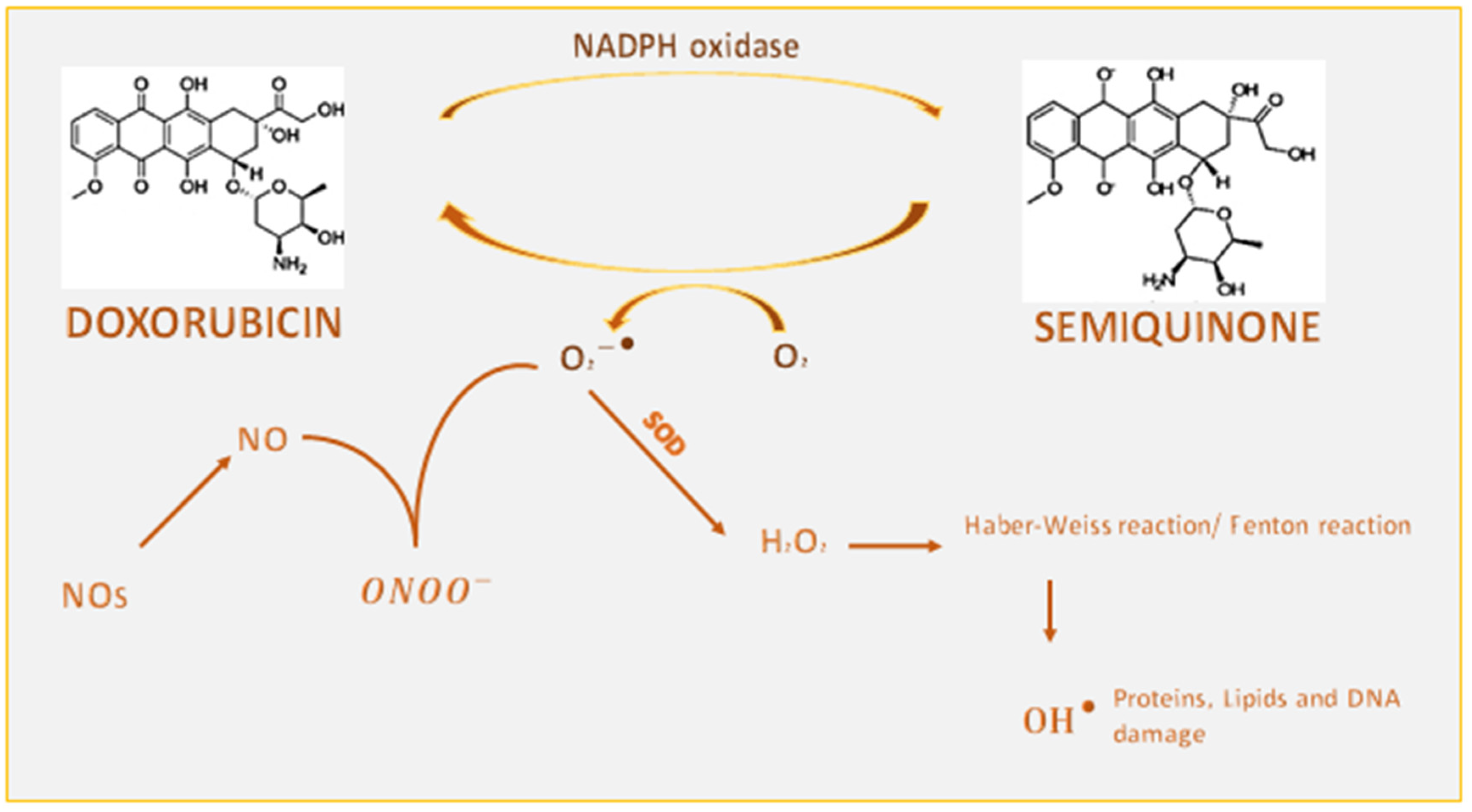 Preprints 107392 g001