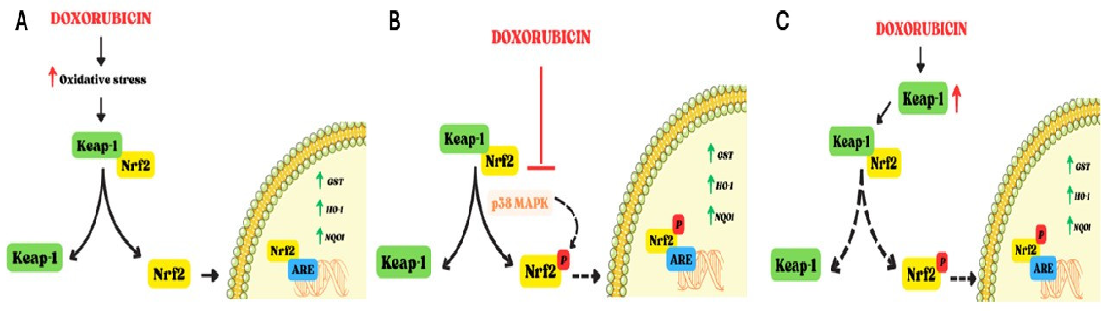 Preprints 107392 g003