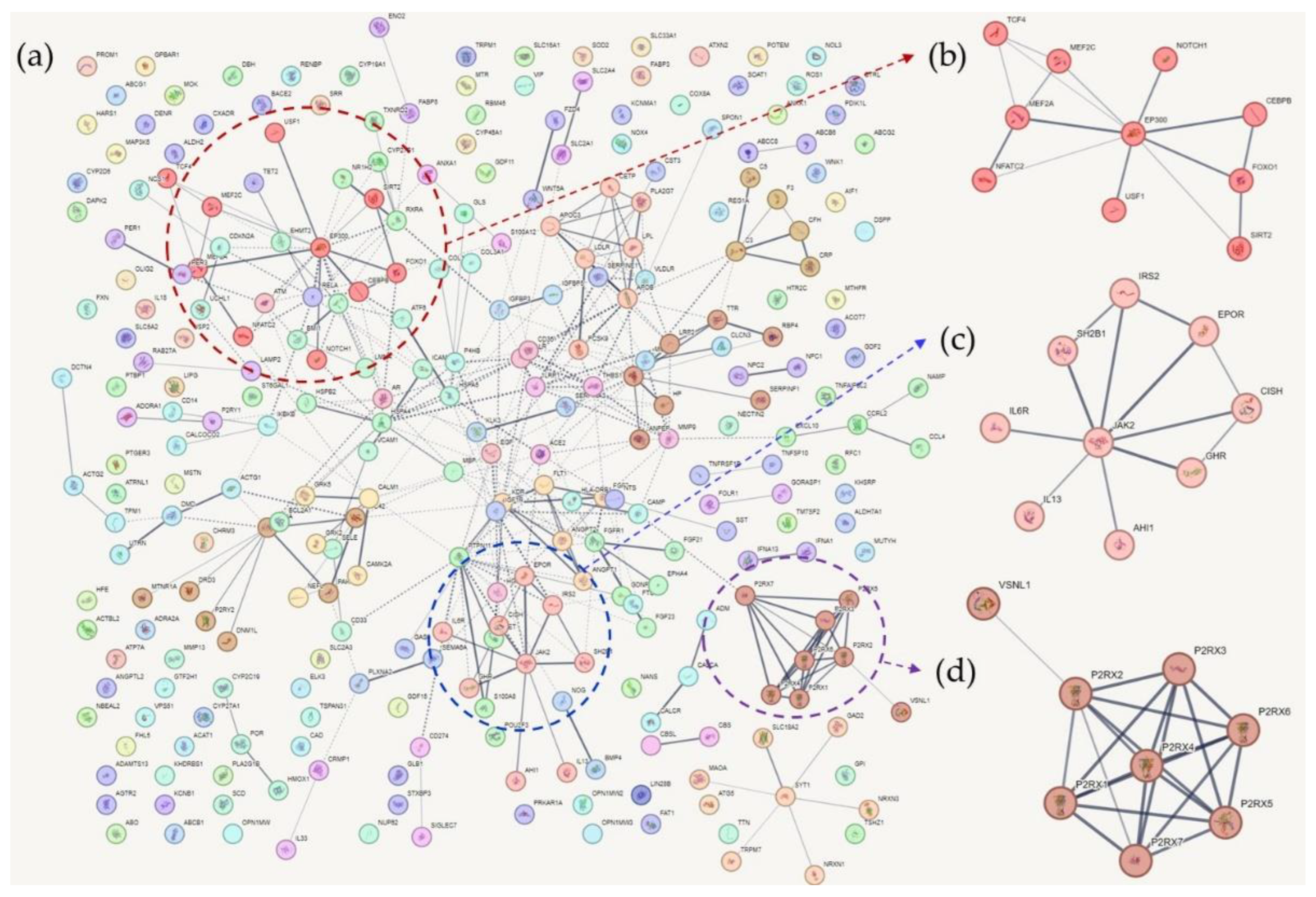 Preprints 94152 g002