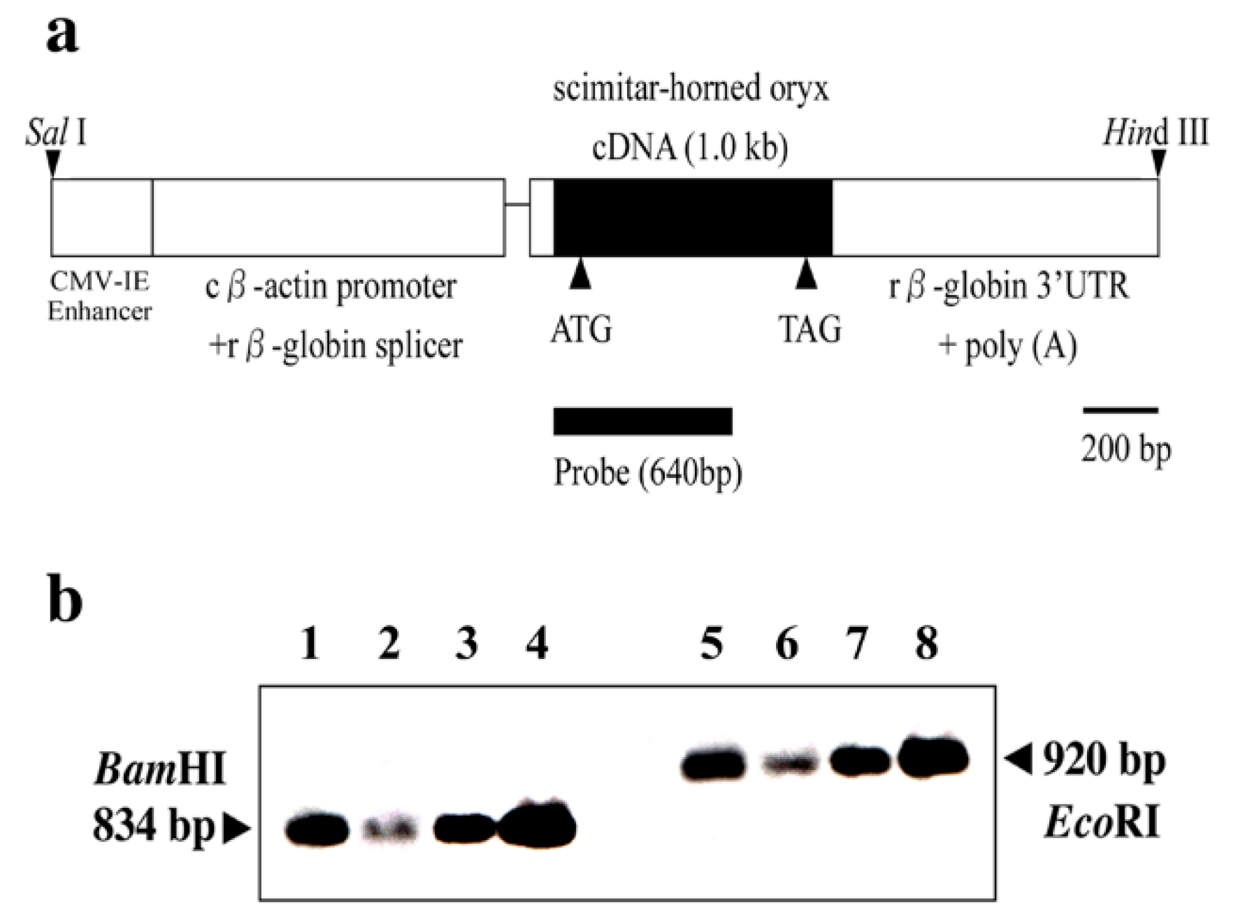 Preprints 188003 g001