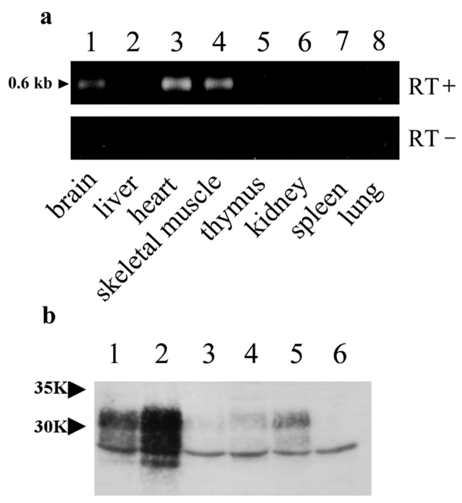 Preprints 188003 g002