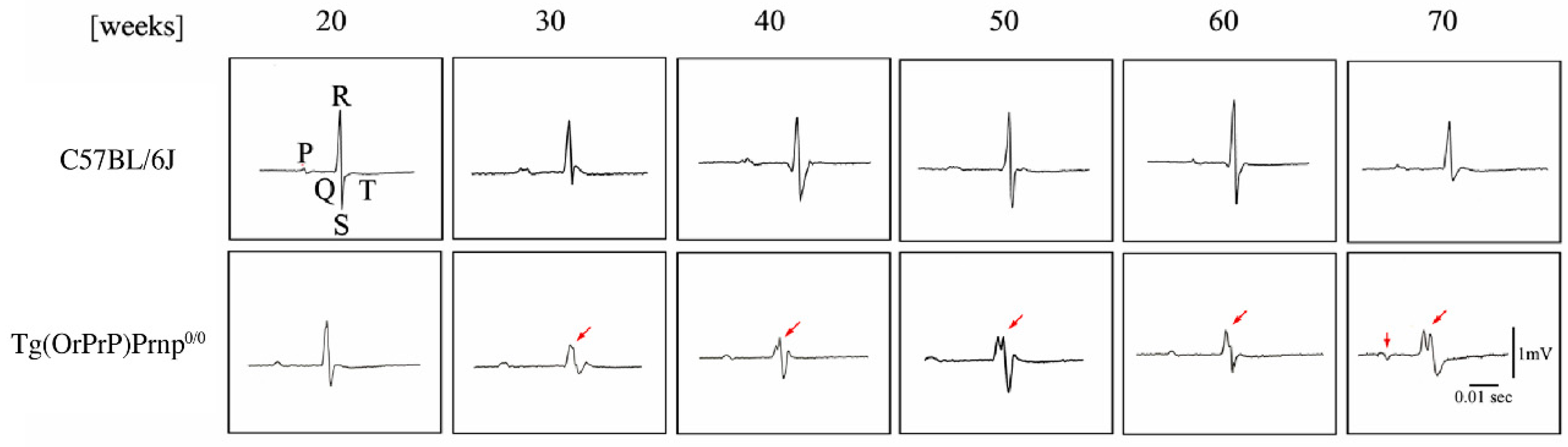 Preprints 188003 g003