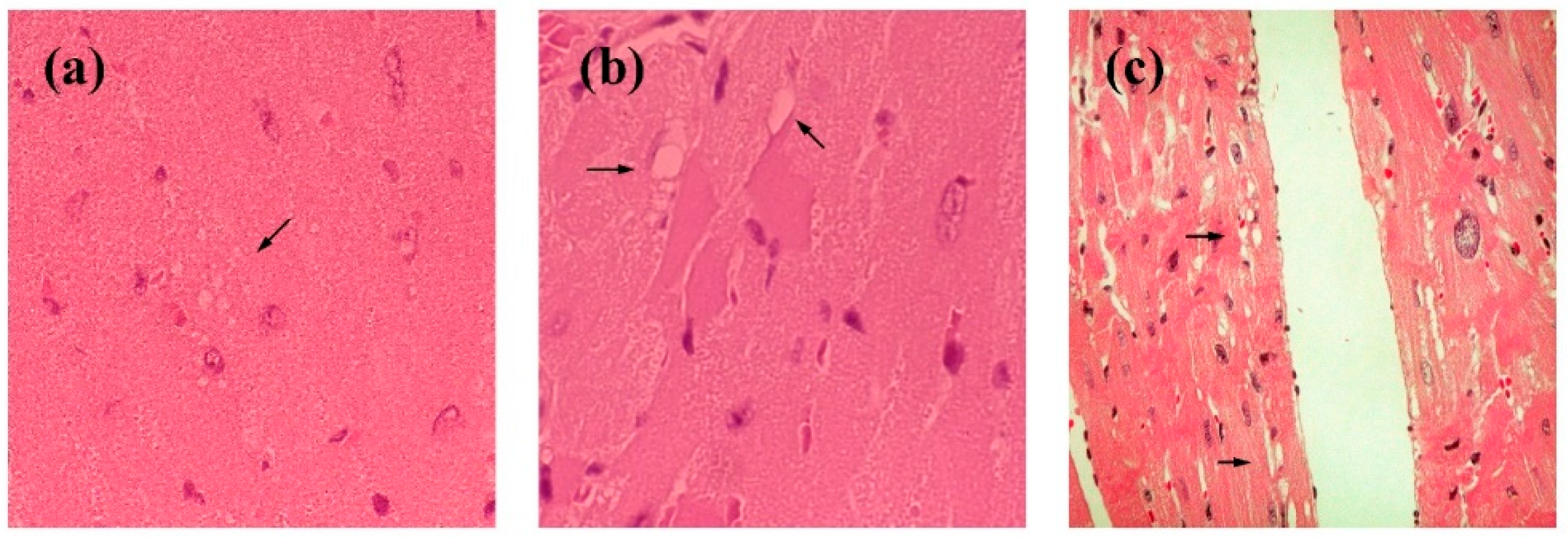 Preprints 188003 g004
