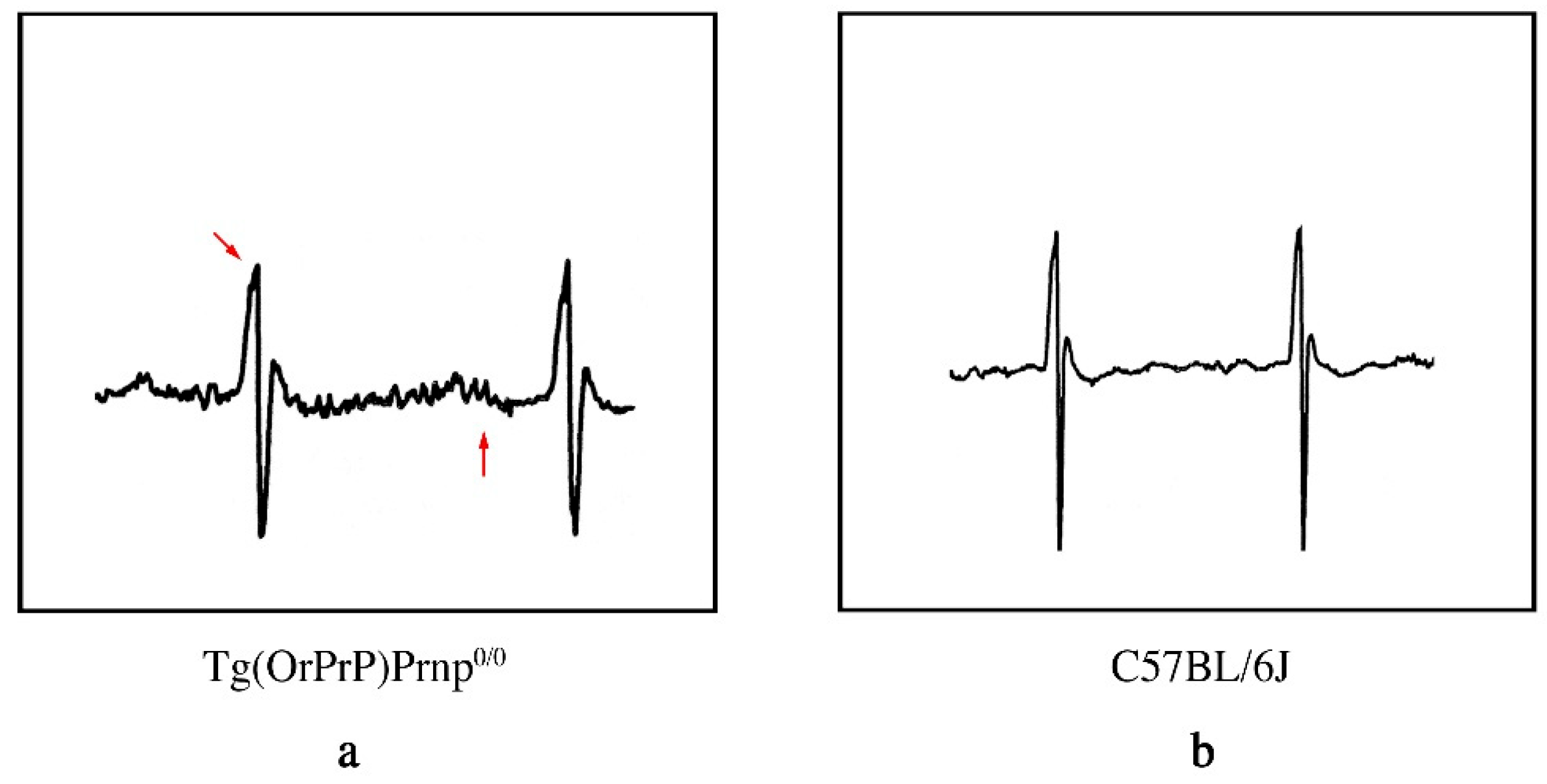 Preprints 188003 g005