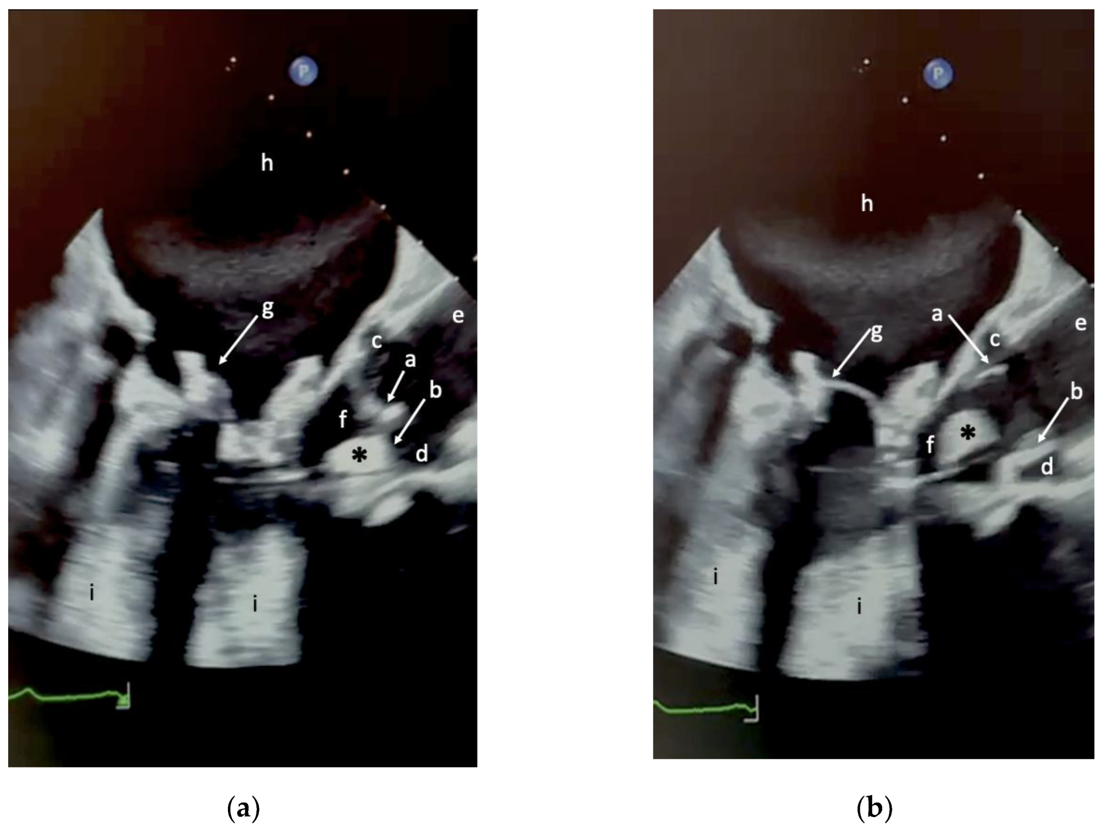 Preprints 197332 g002