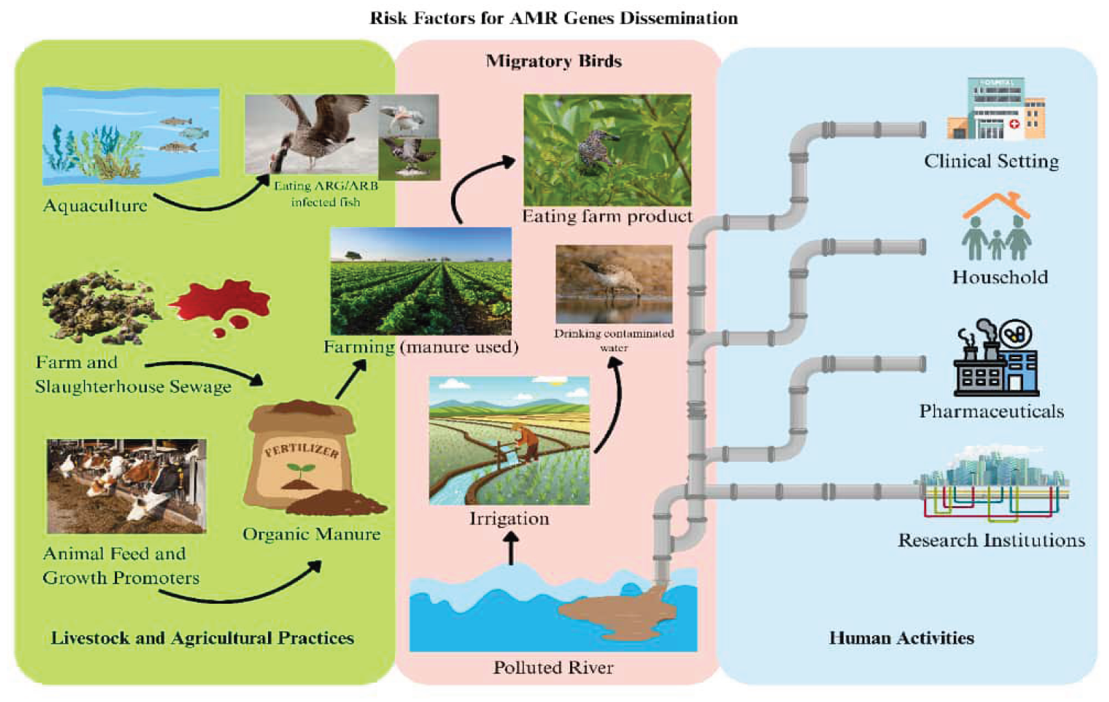 Preprints 192472 g001