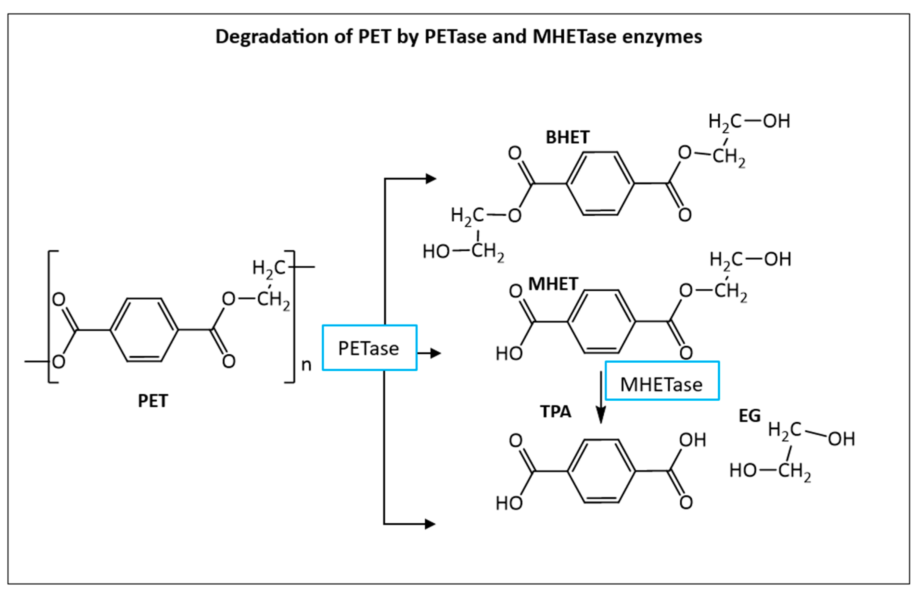 Preprints 140328 g004