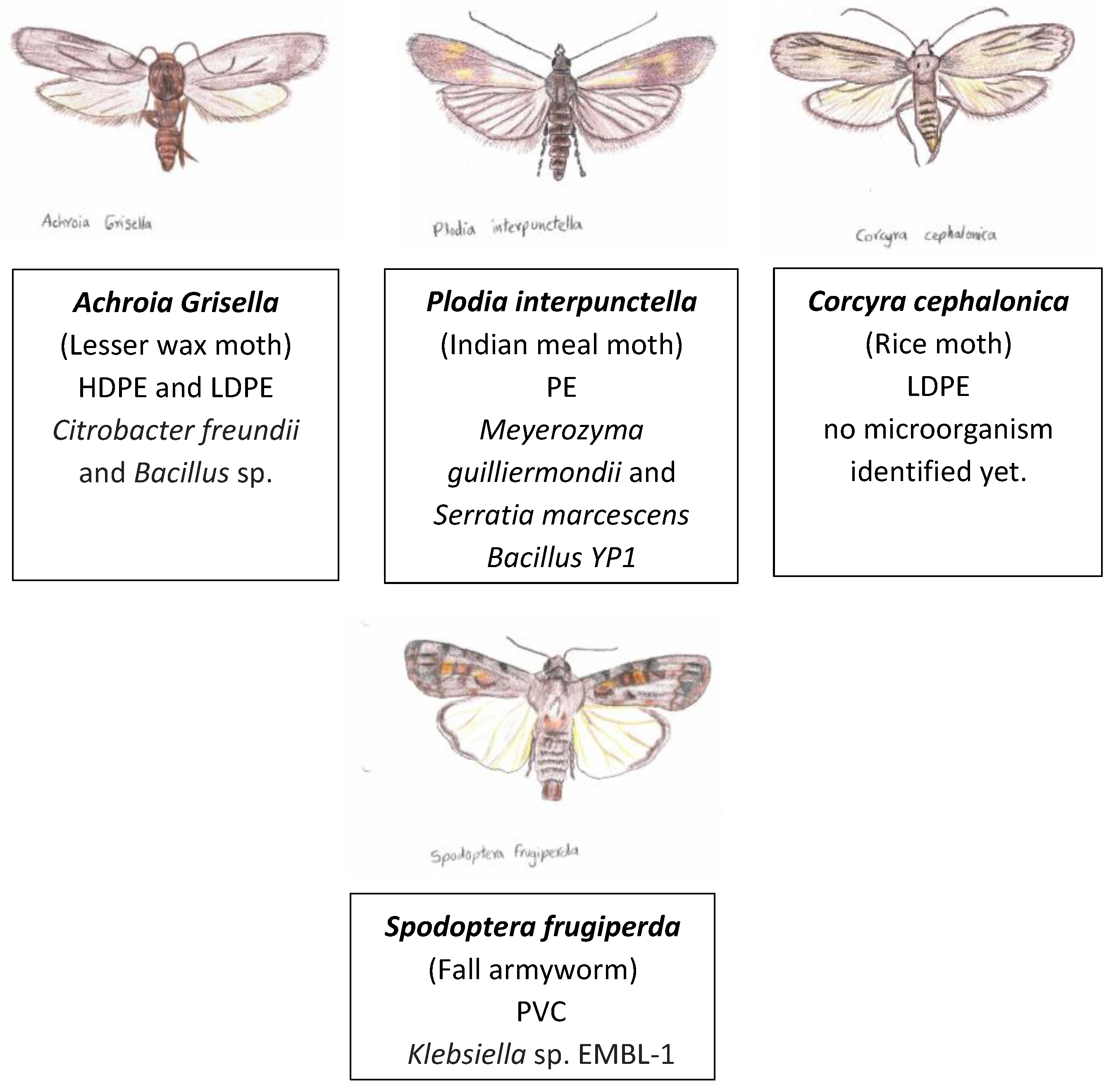 Preprints 140328 g005