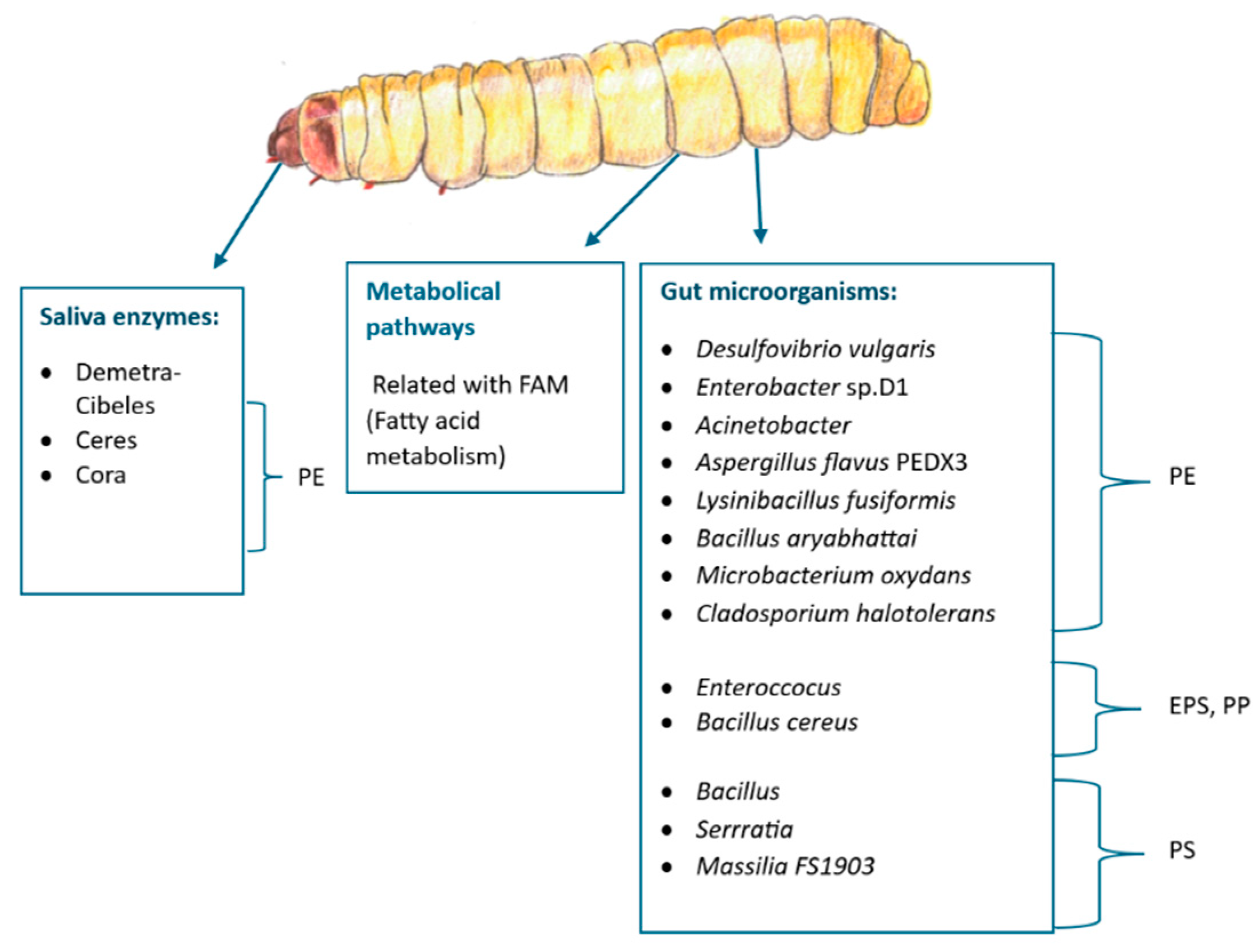 Preprints 140328 g007