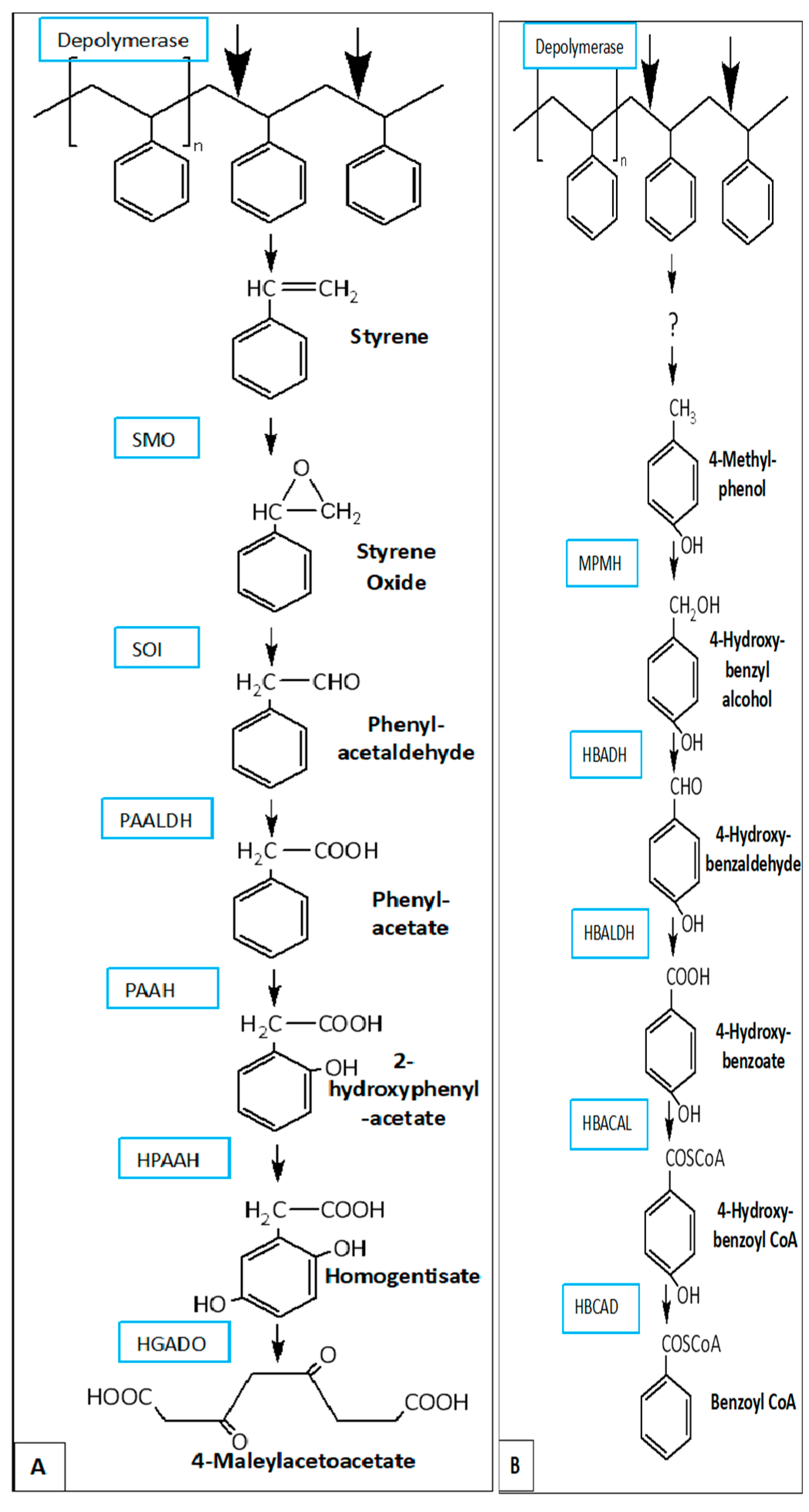 Preprints 140328 g008