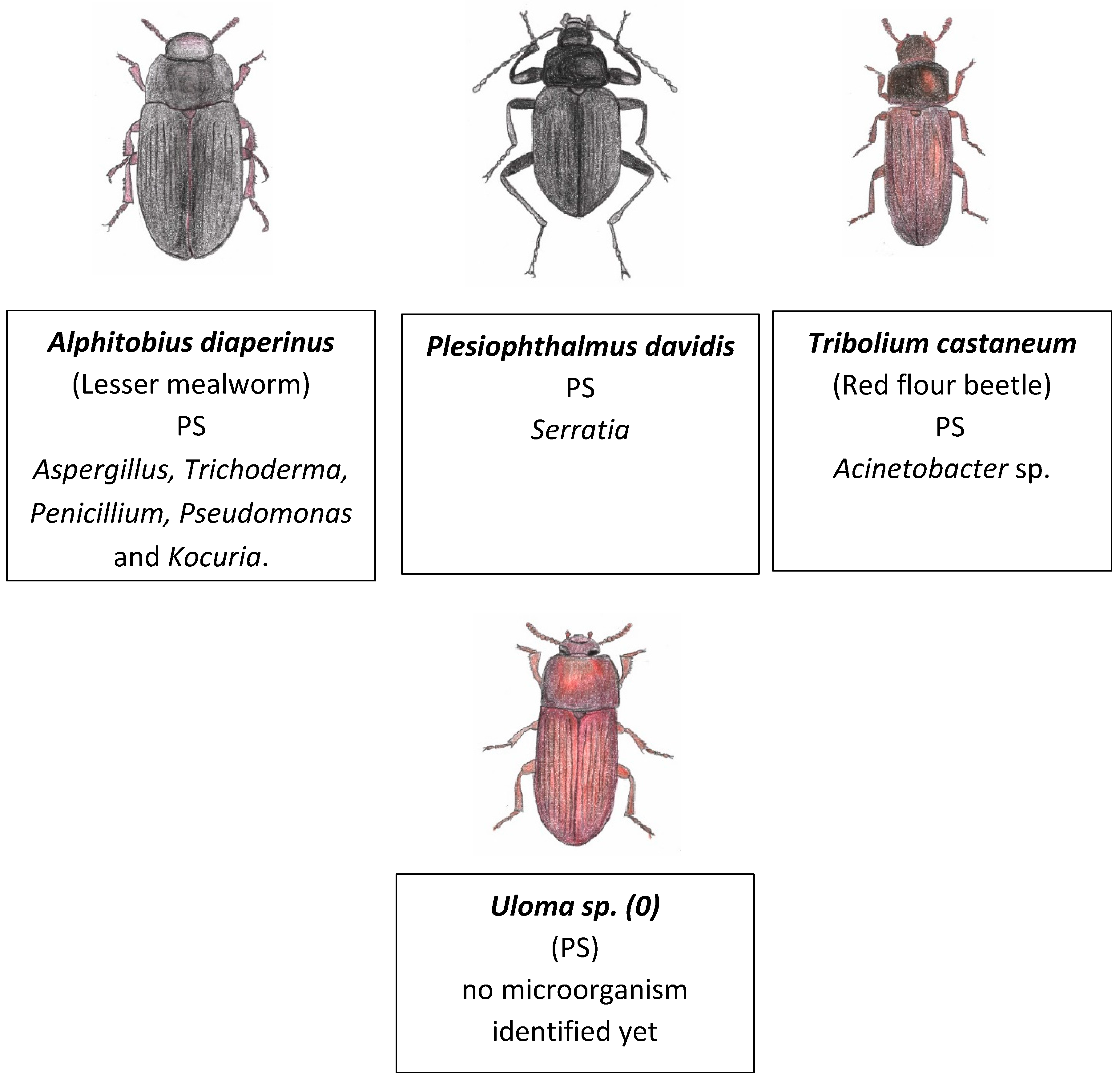Preprints 140328 g009