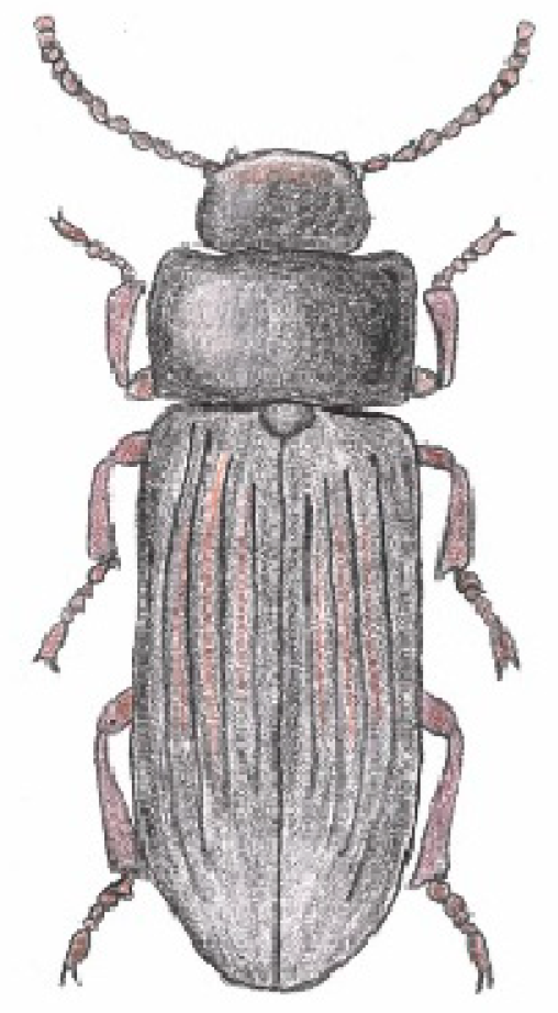 Preprints 140328 g010