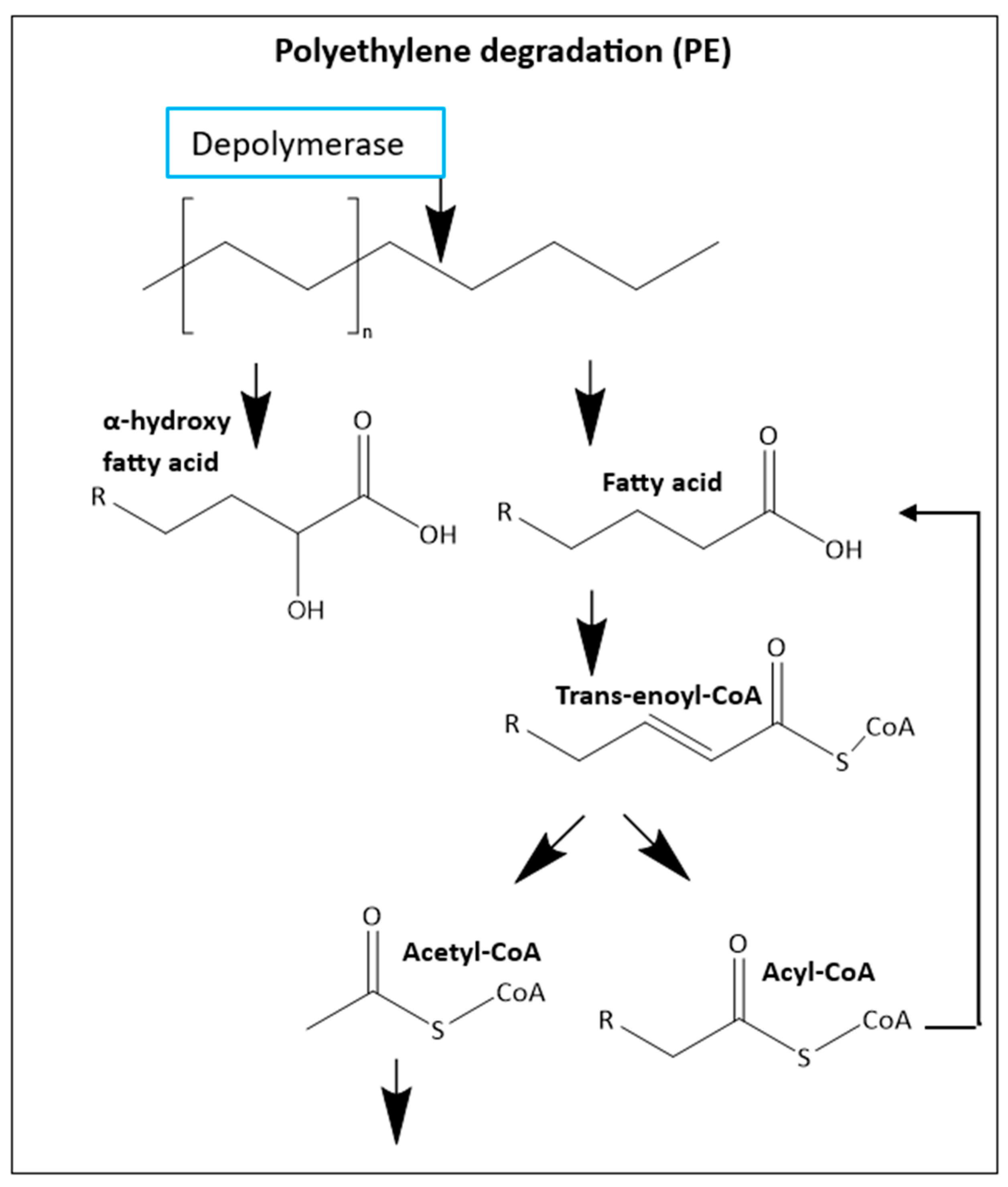 Preprints 140328 g011