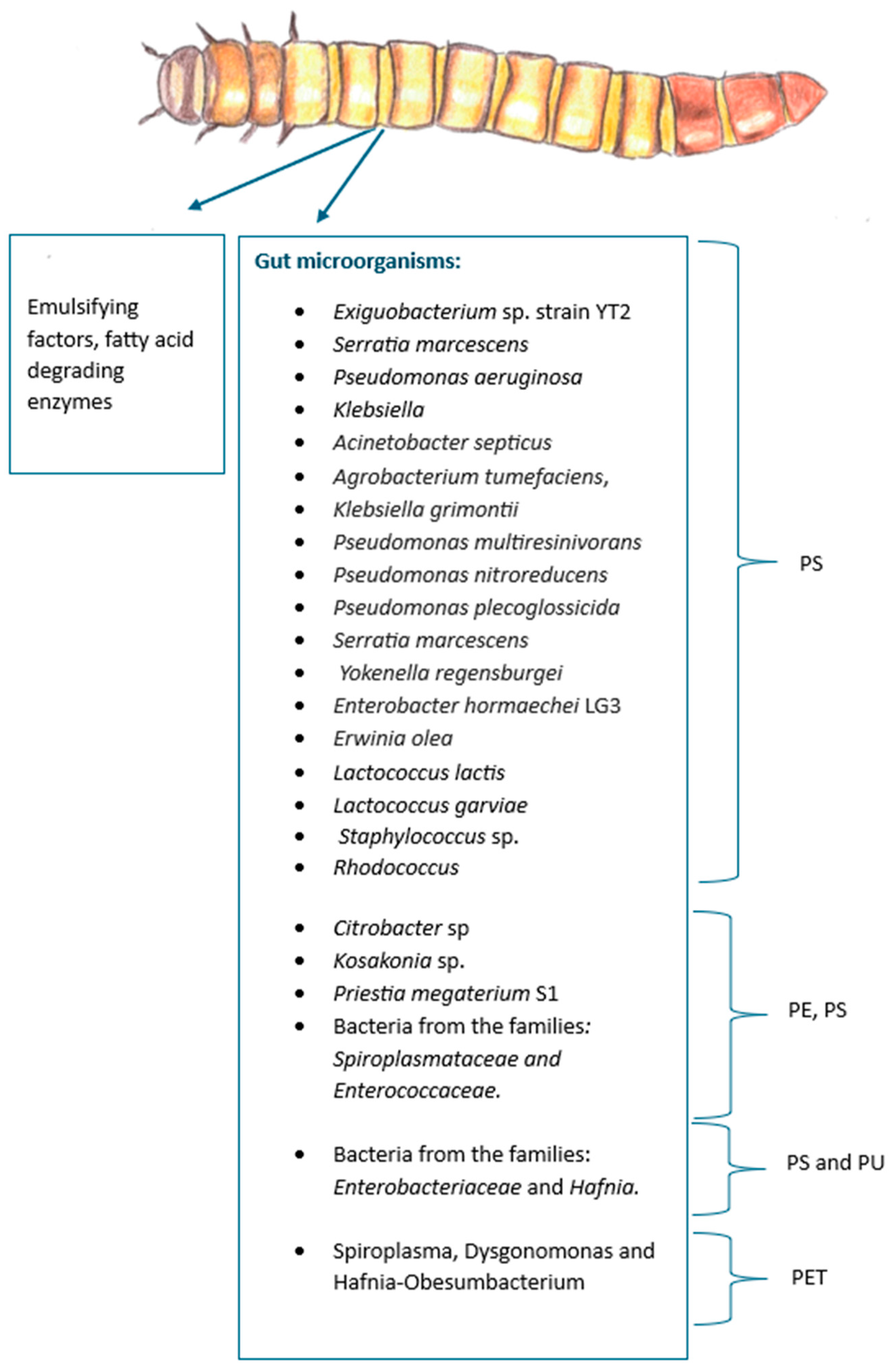 Preprints 140328 g012