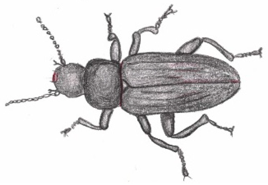 Preprints 140328 g013