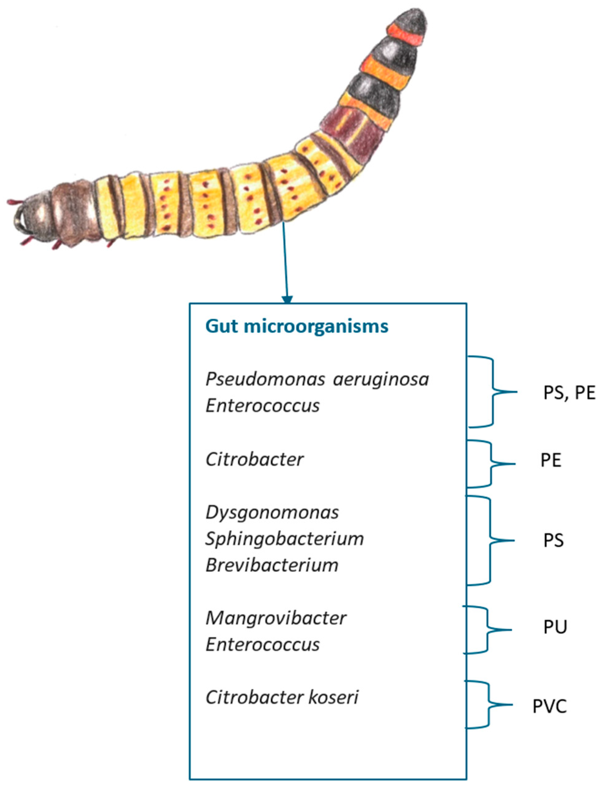 Preprints 140328 g014