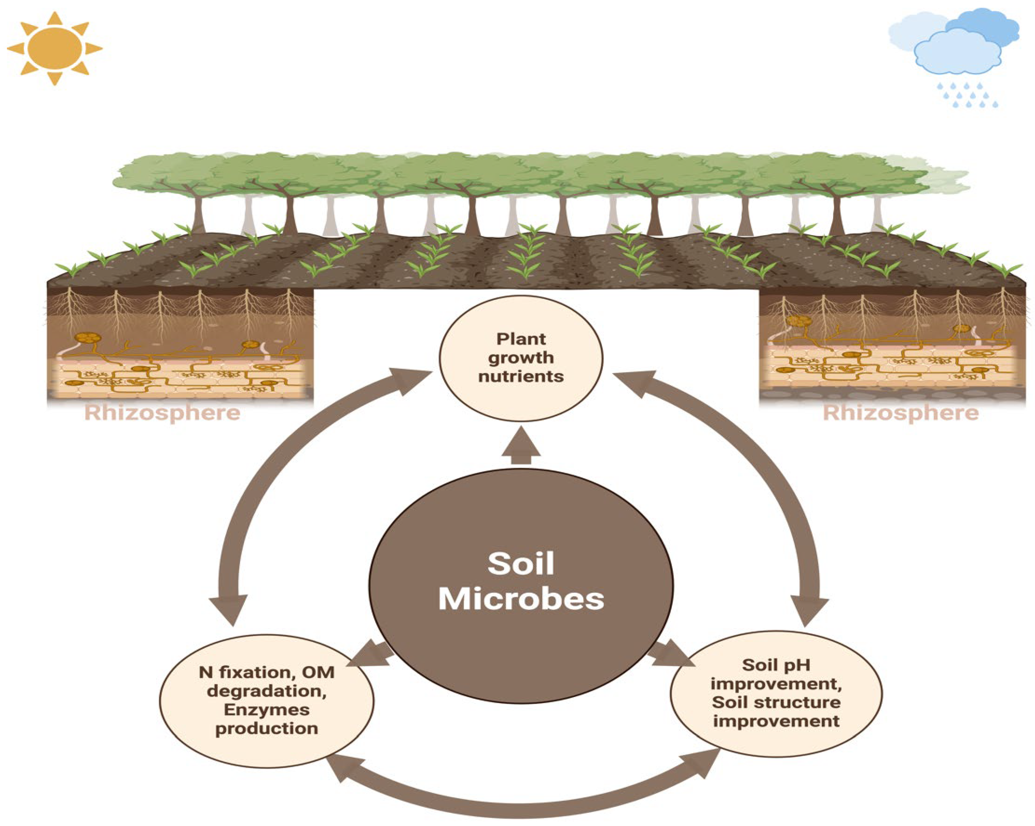 Preprints 139878 g001