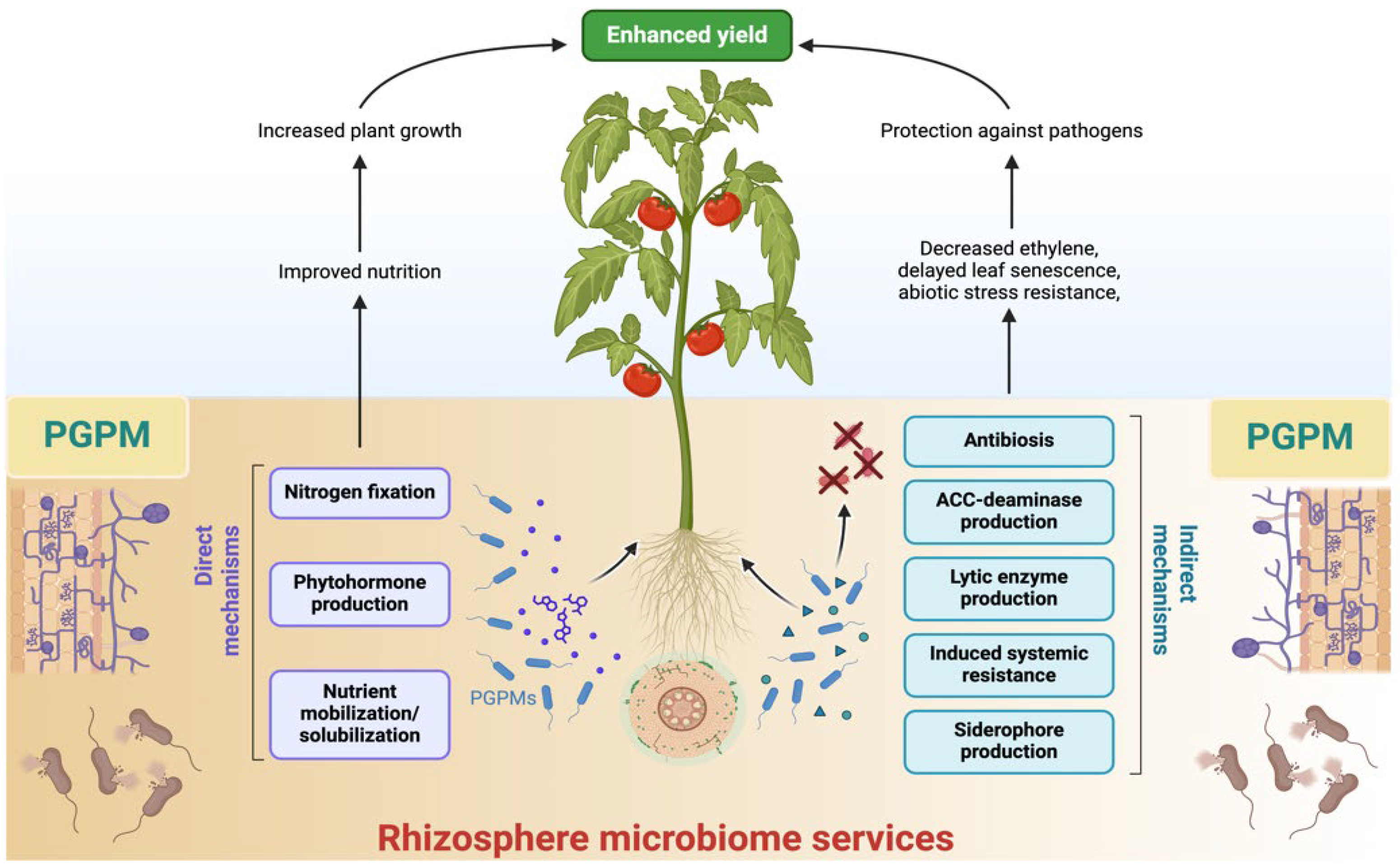 Preprints 139878 g002