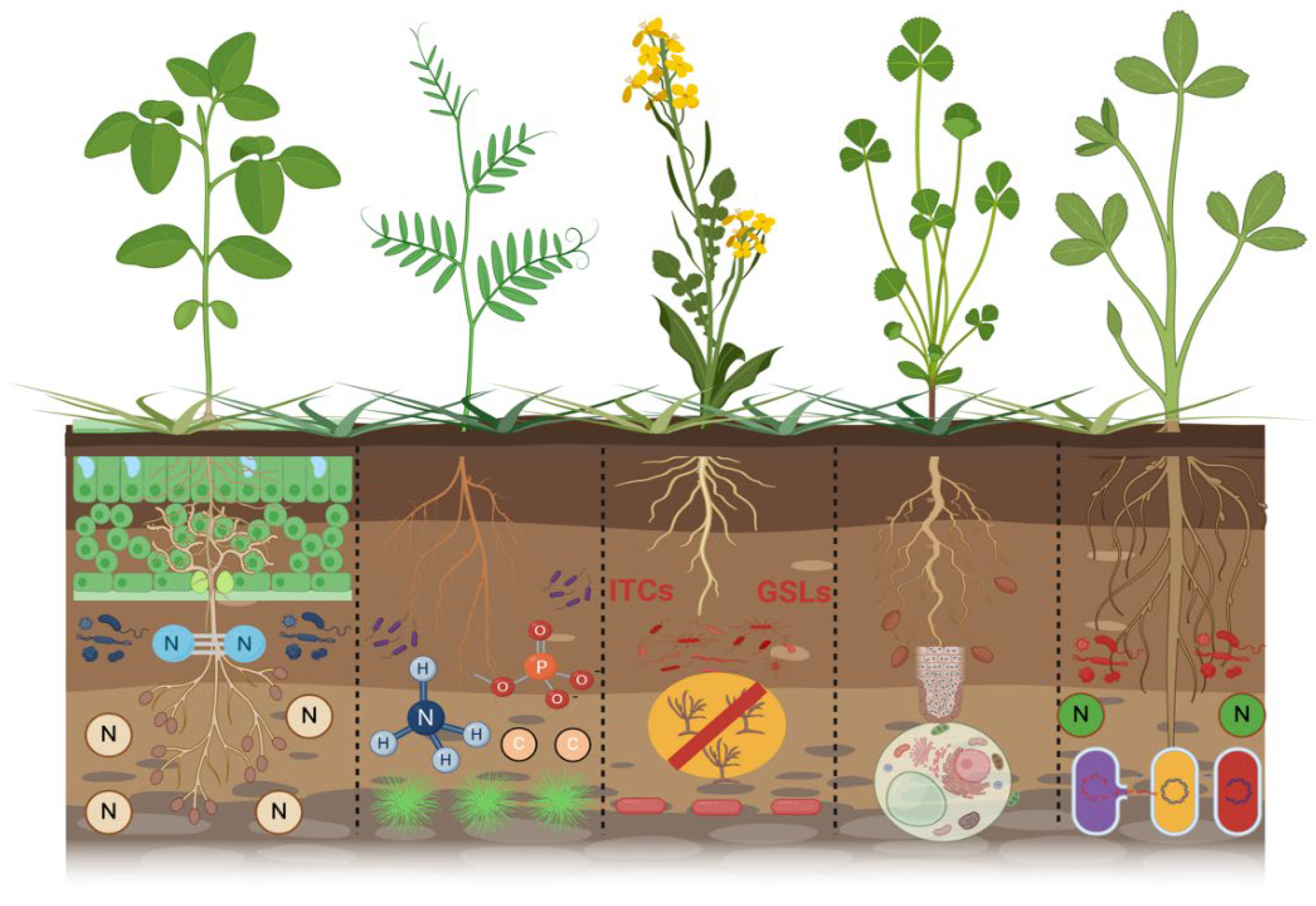 Preprints 139878 g003