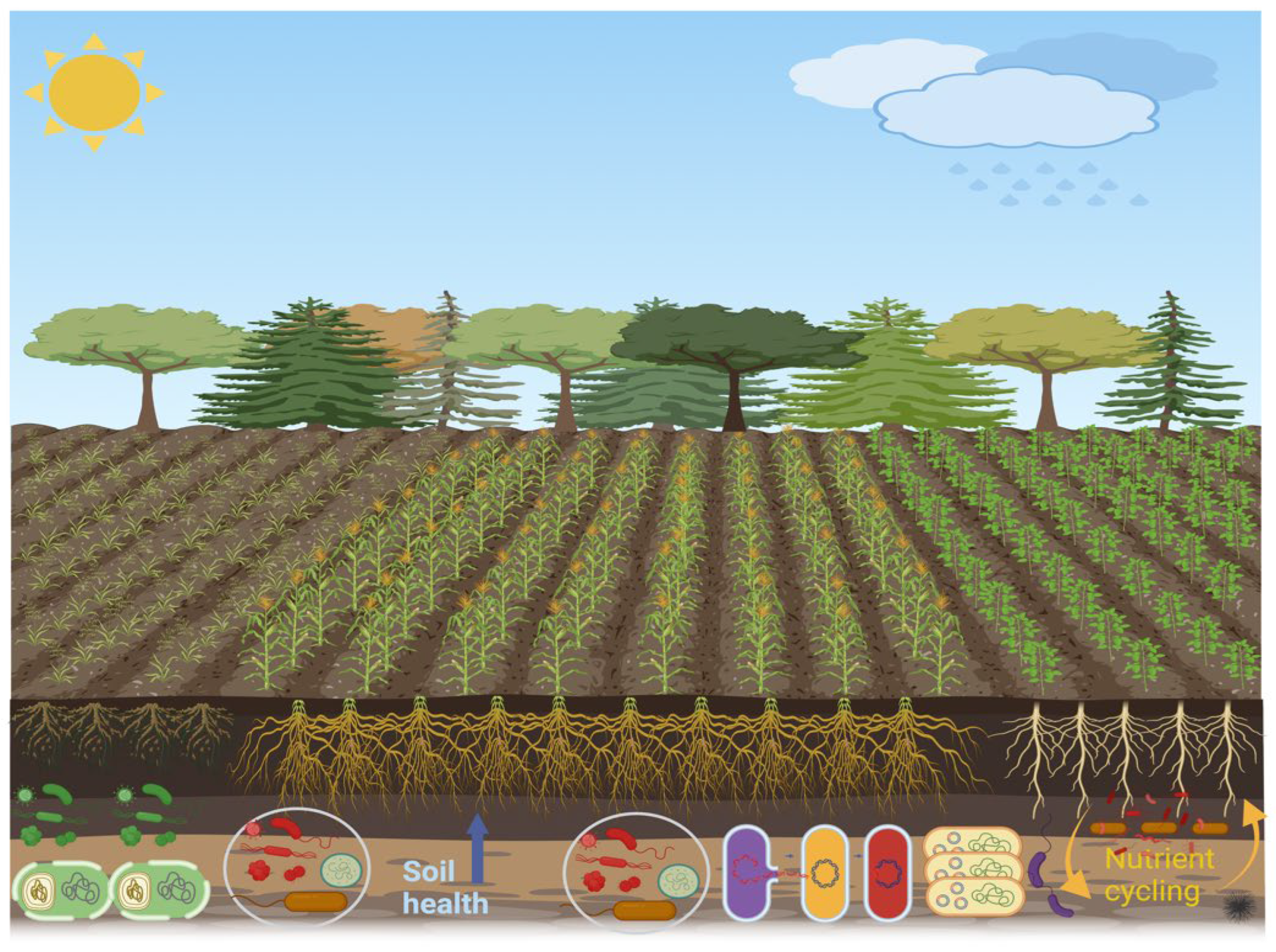 Preprints 139878 g005