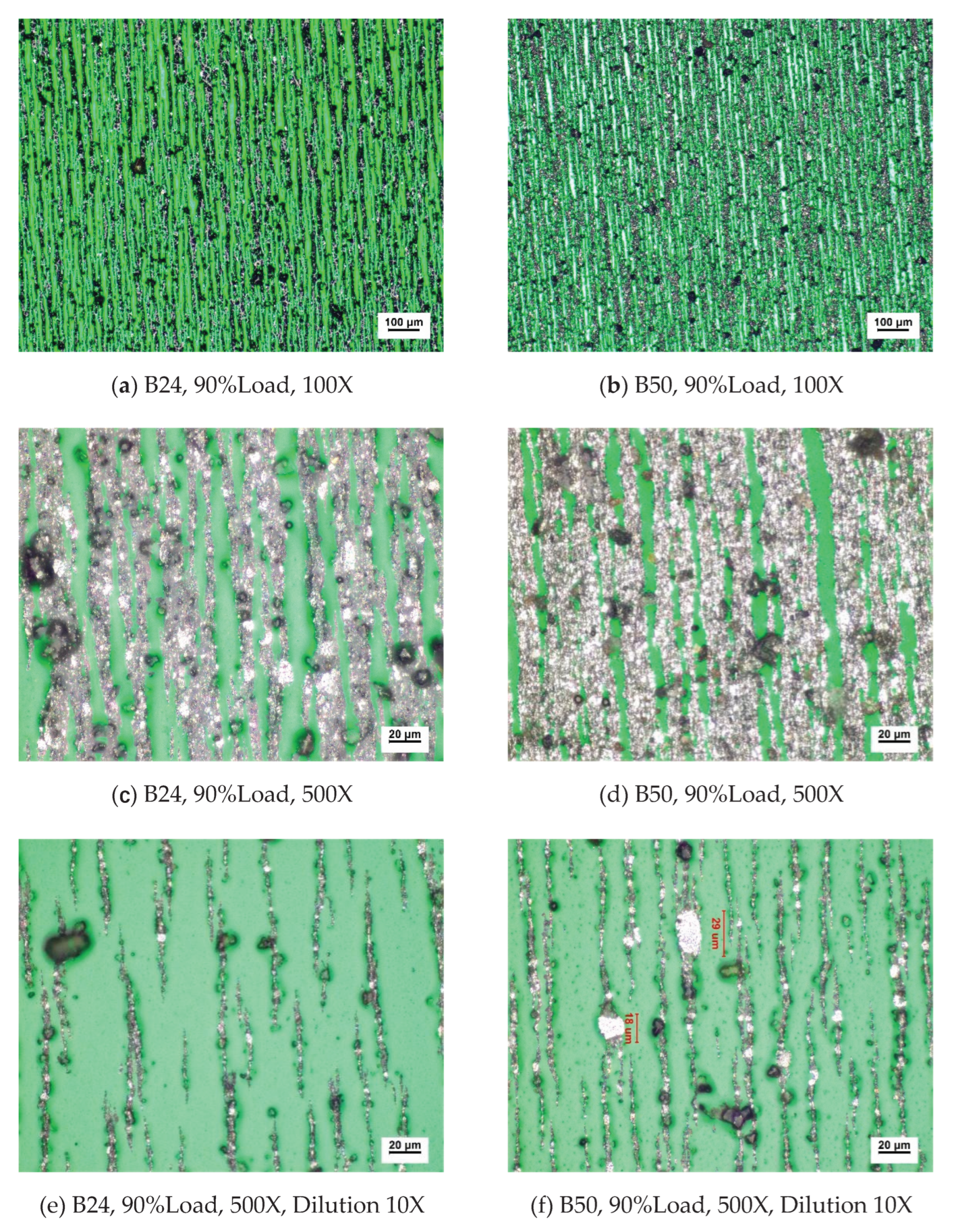 Preprints 161435 g011