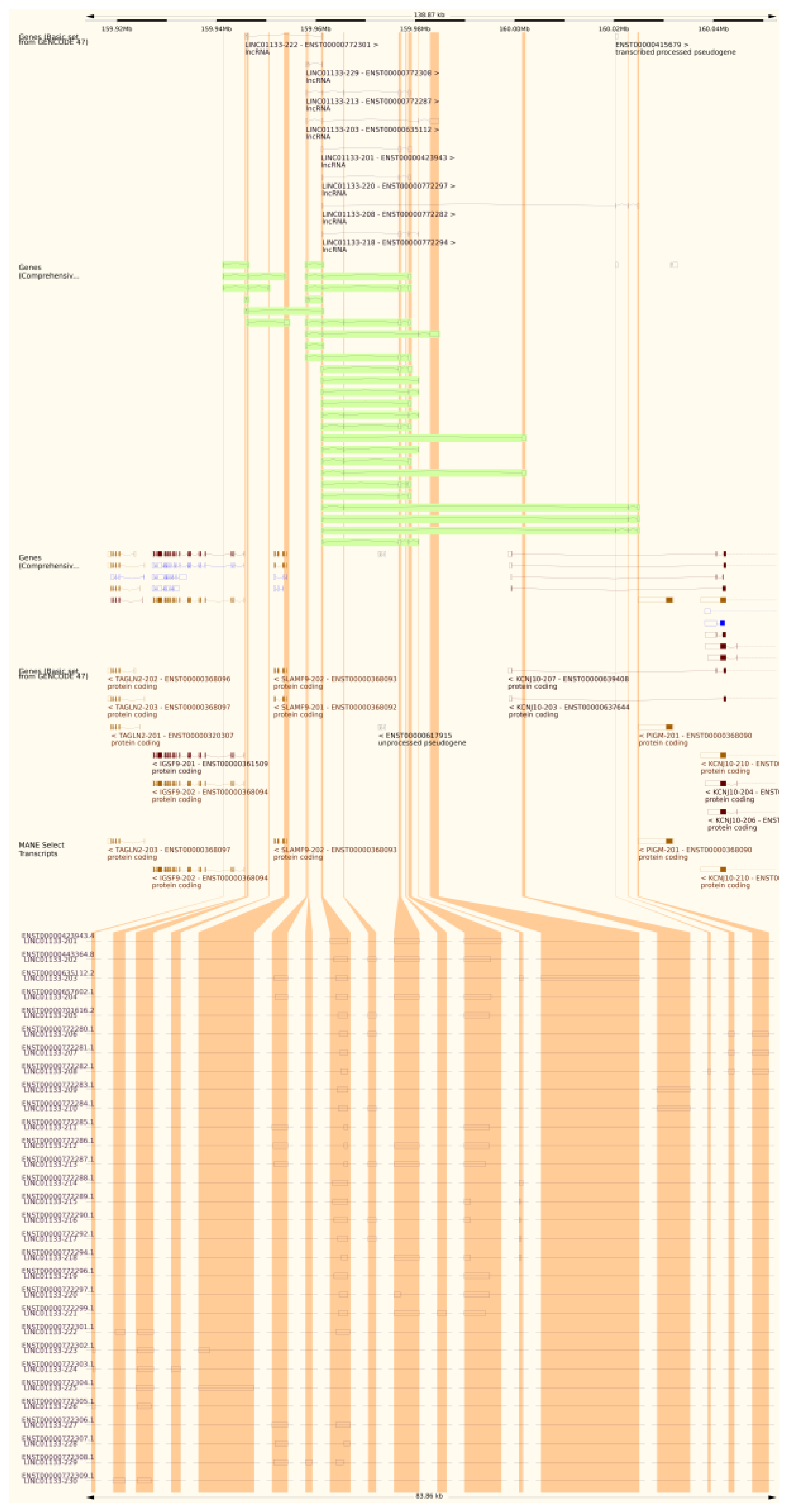 Preprints 163549 g001