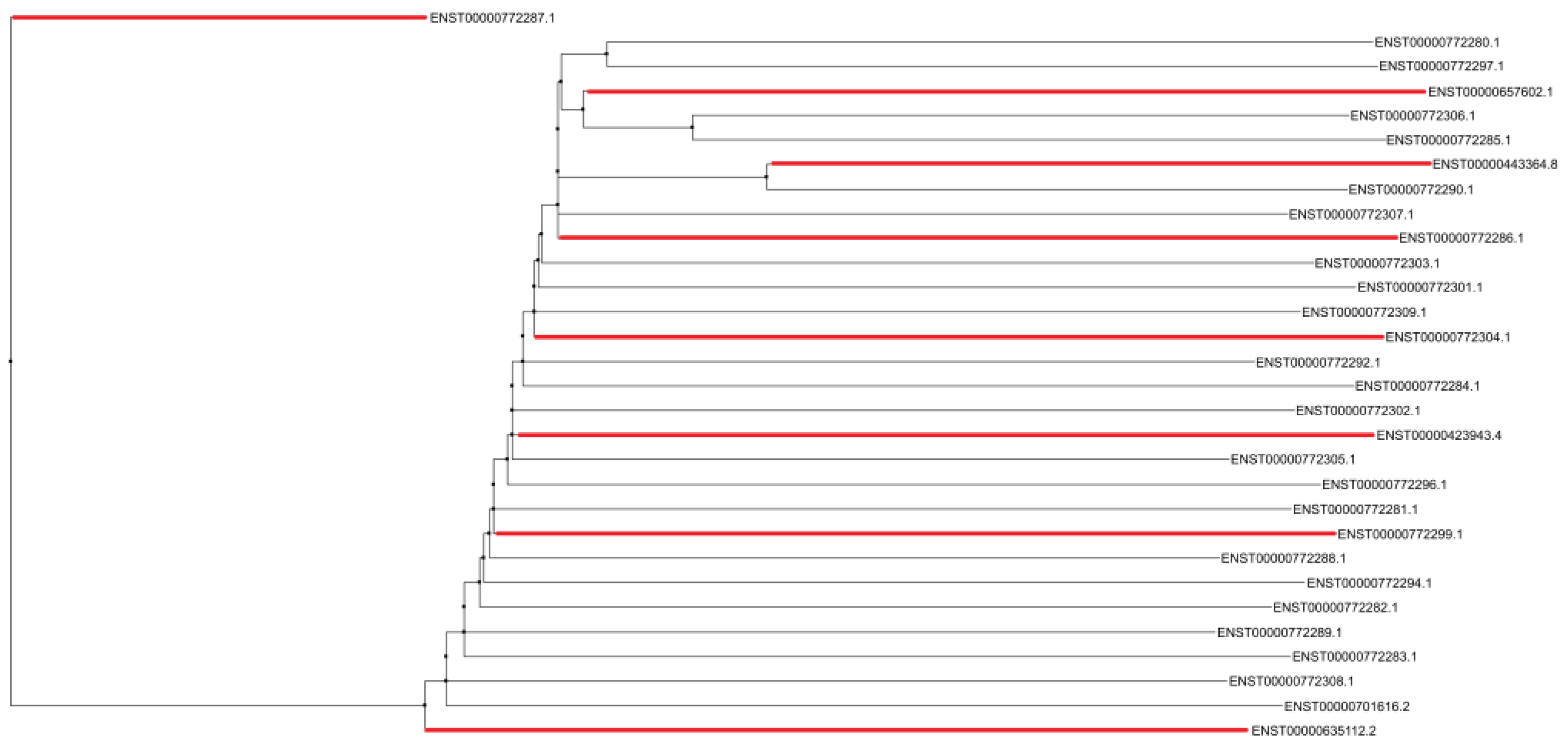 Preprints 163549 g004