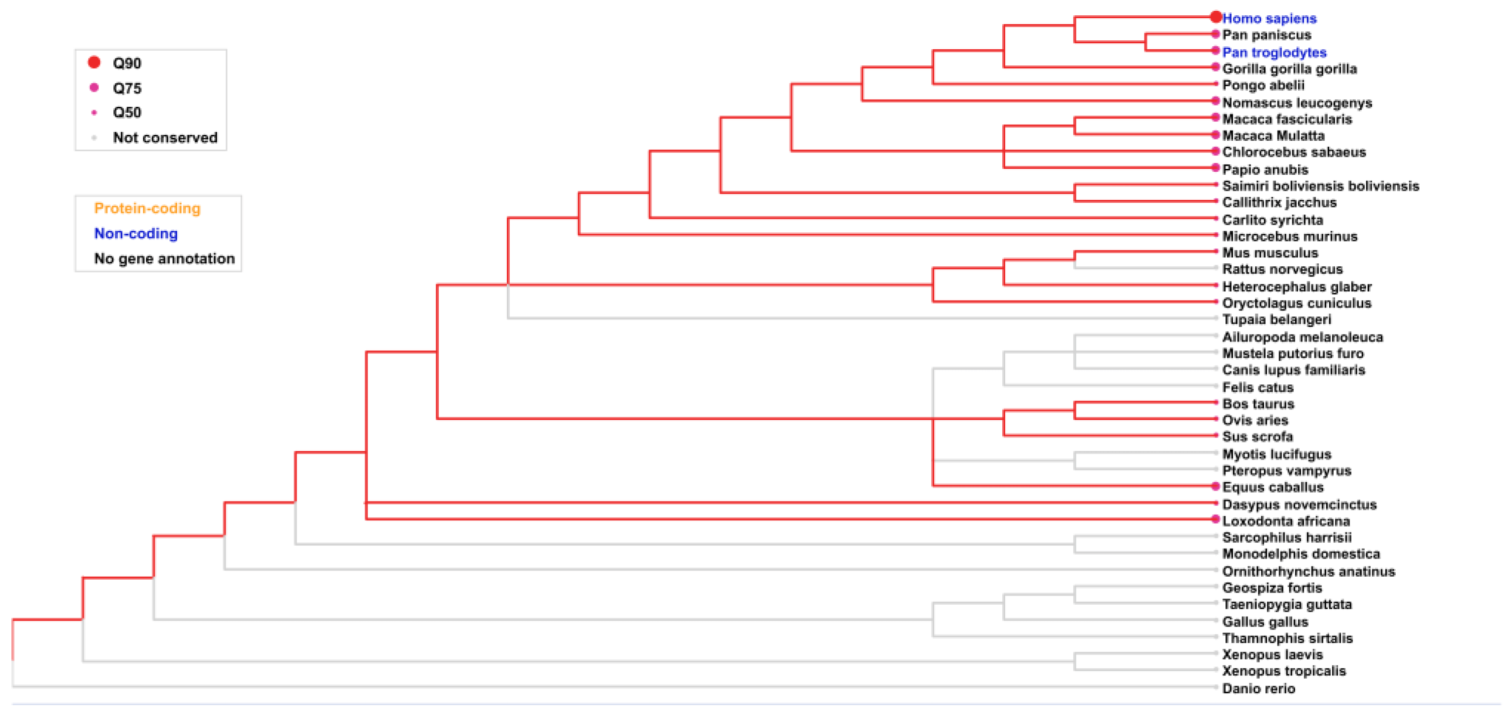 Preprints 163549 g005
