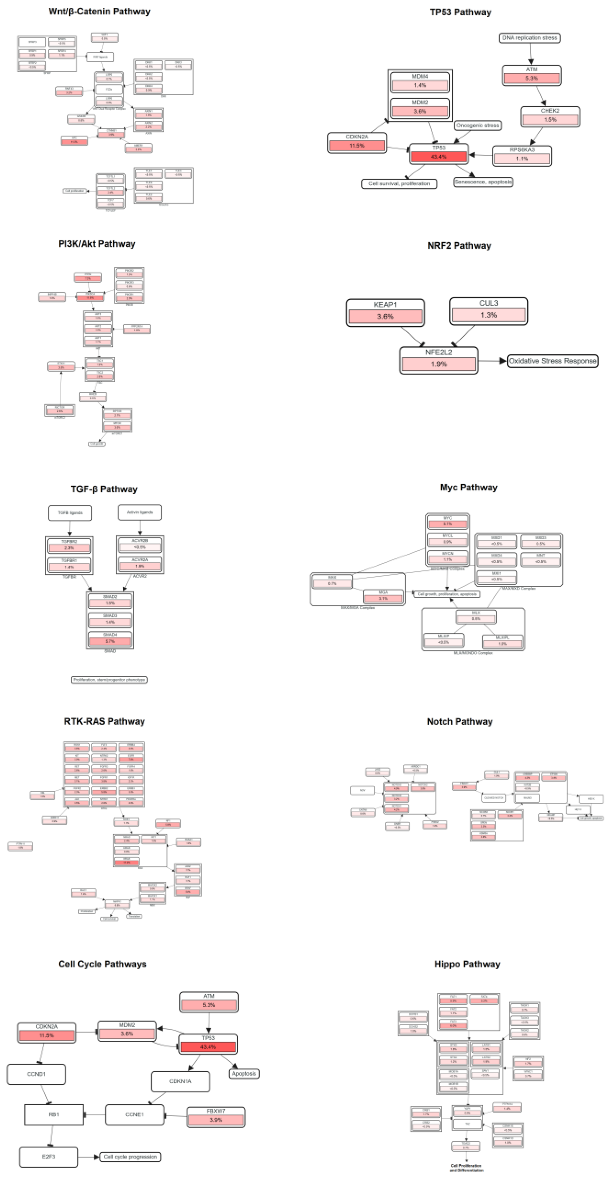 Preprints 163549 g008