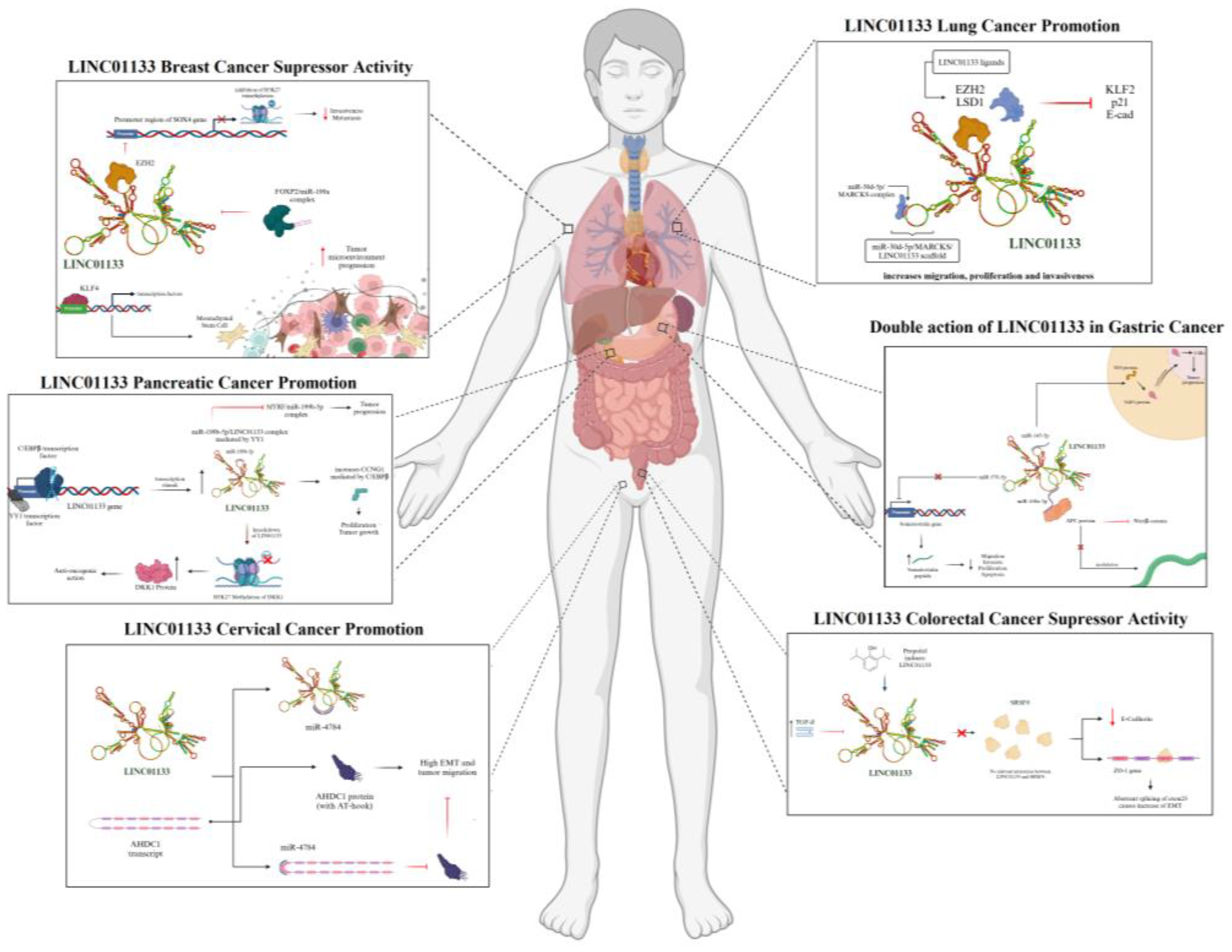 Preprints 163549 g009