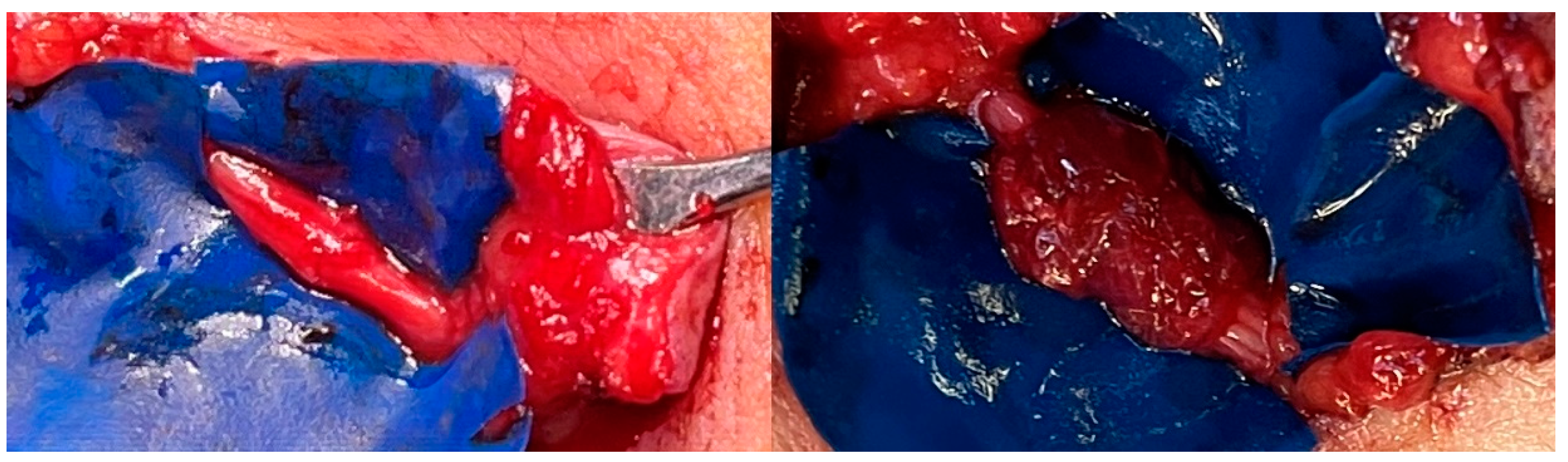 Preprints 143085 g002