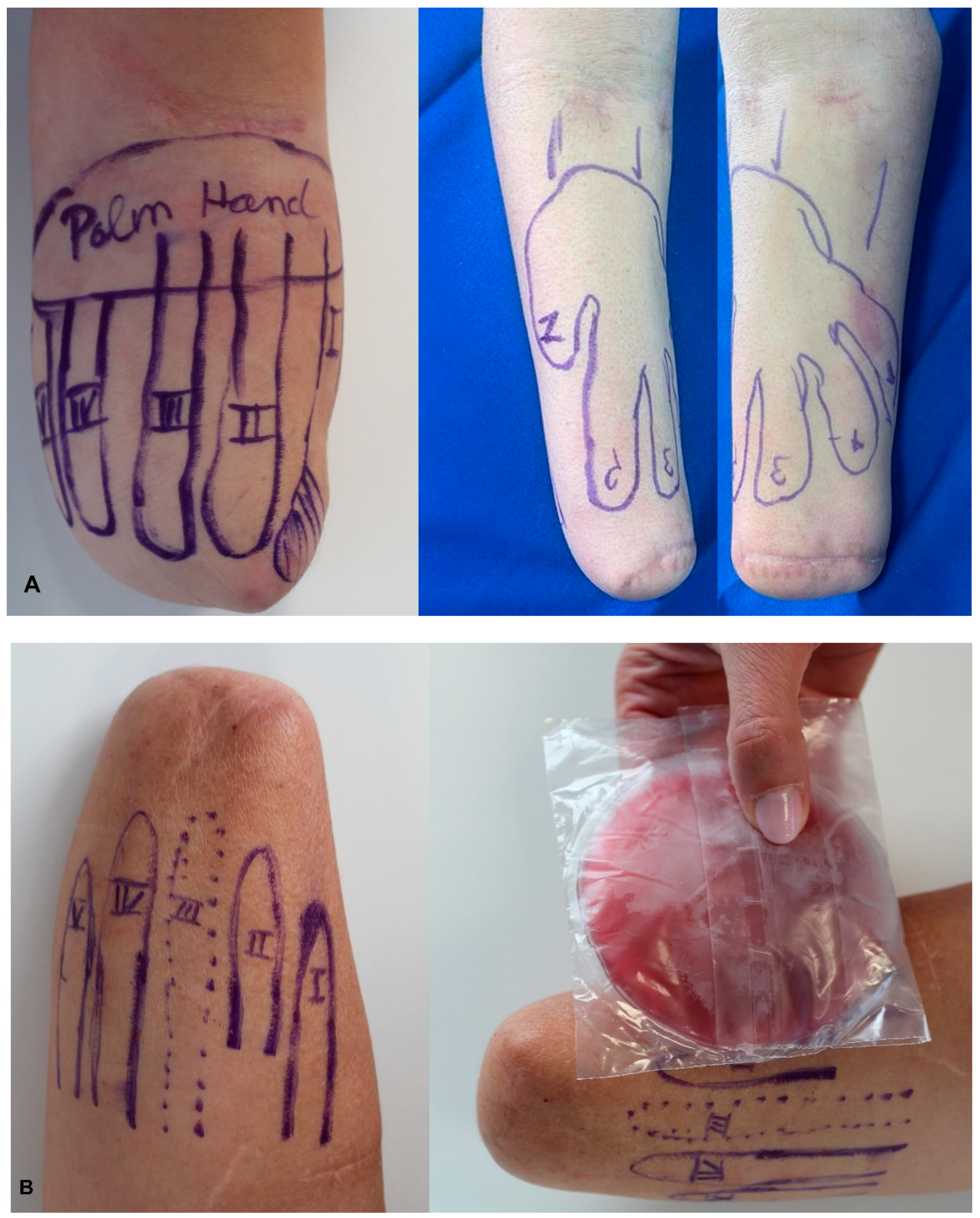 Preprints 143085 g004