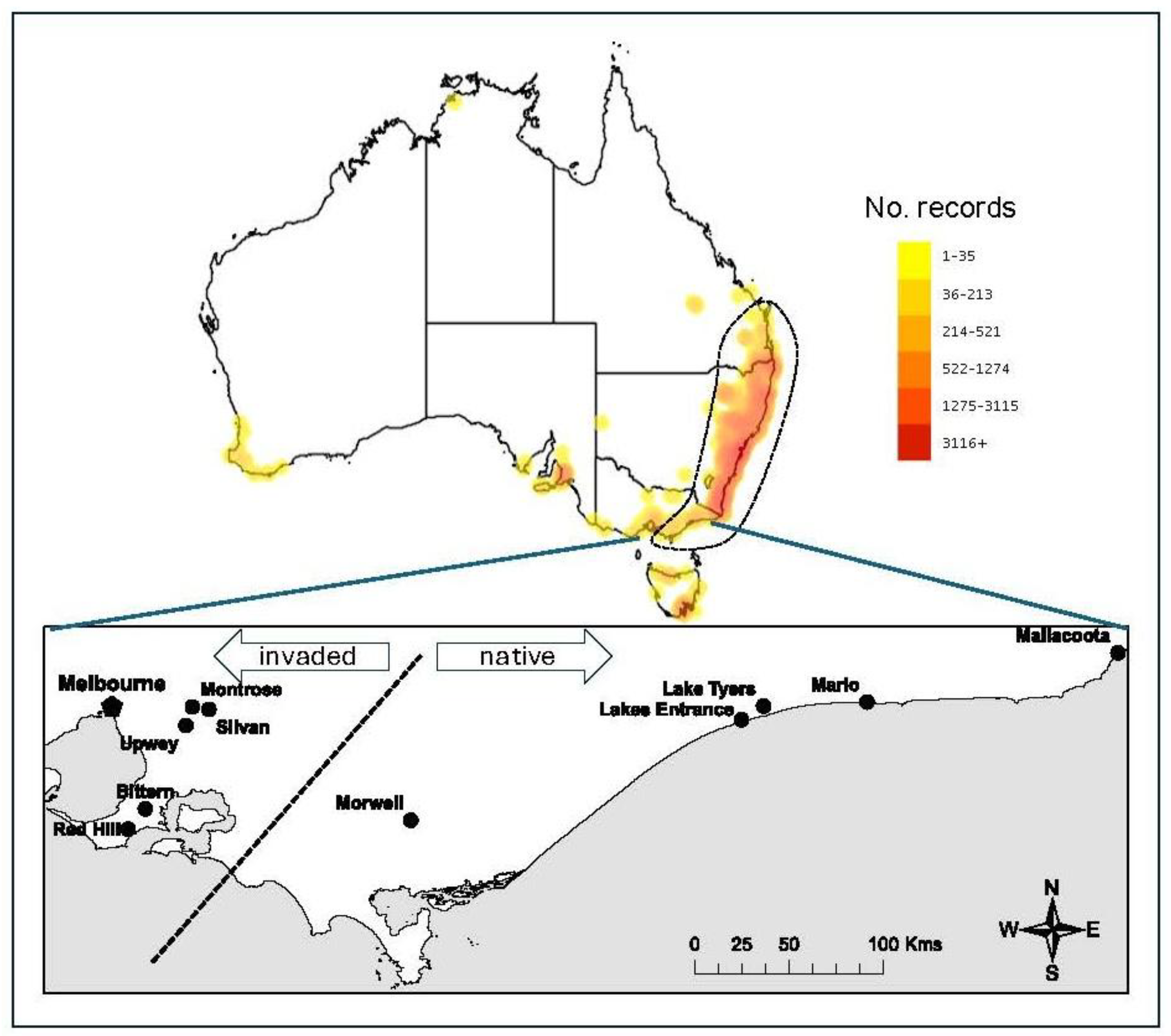 Preprints 187257 g001