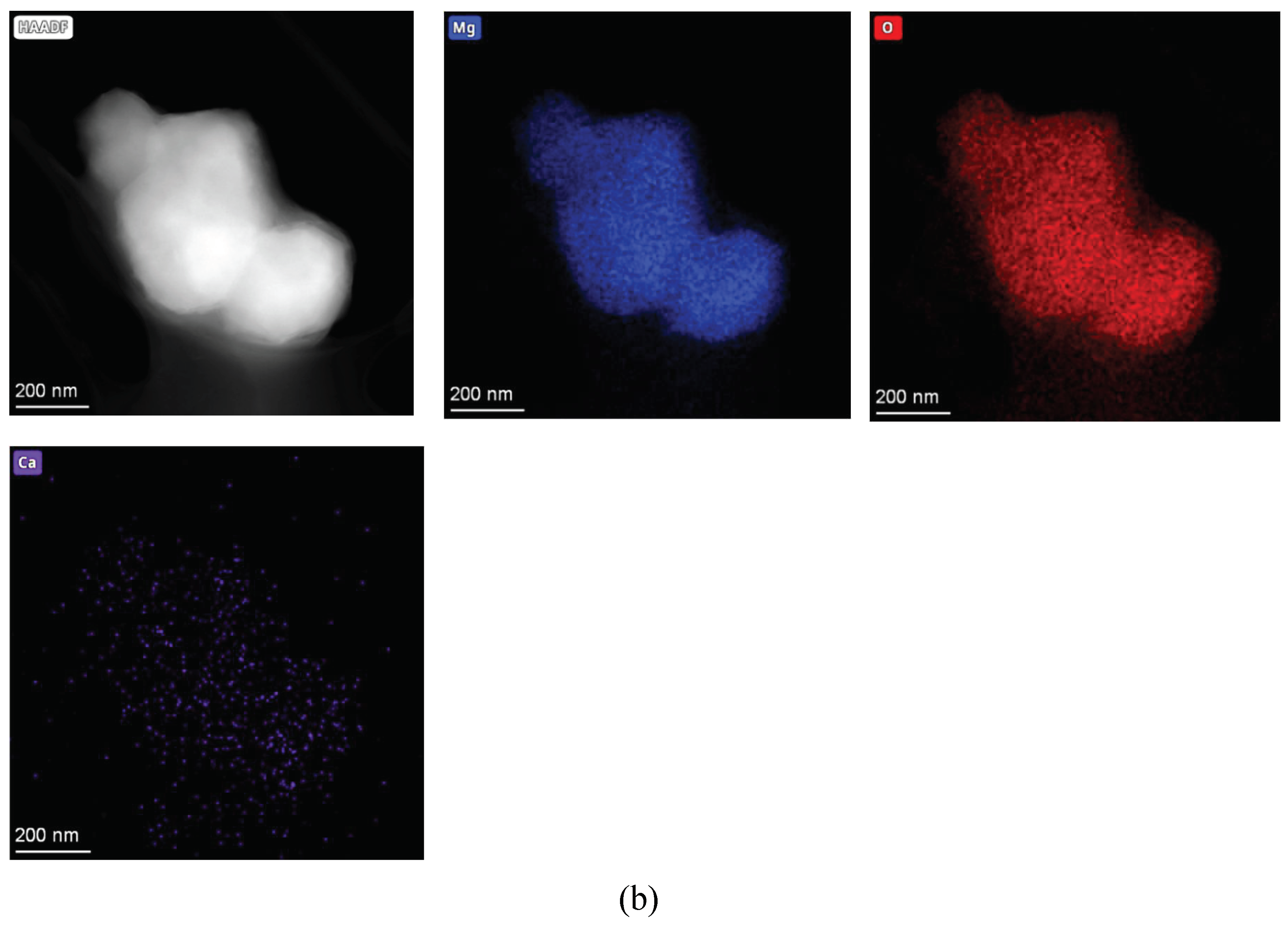 Preprints 200685 g004b
