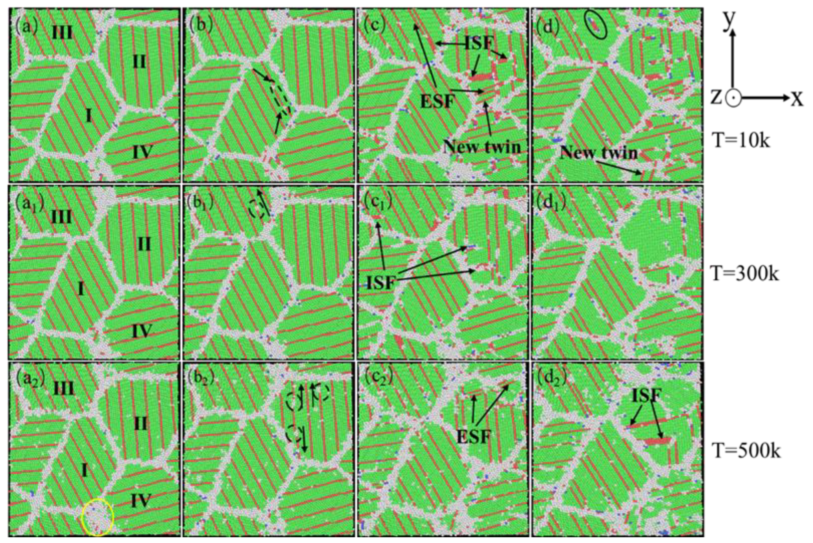 Preprints 143890 g018