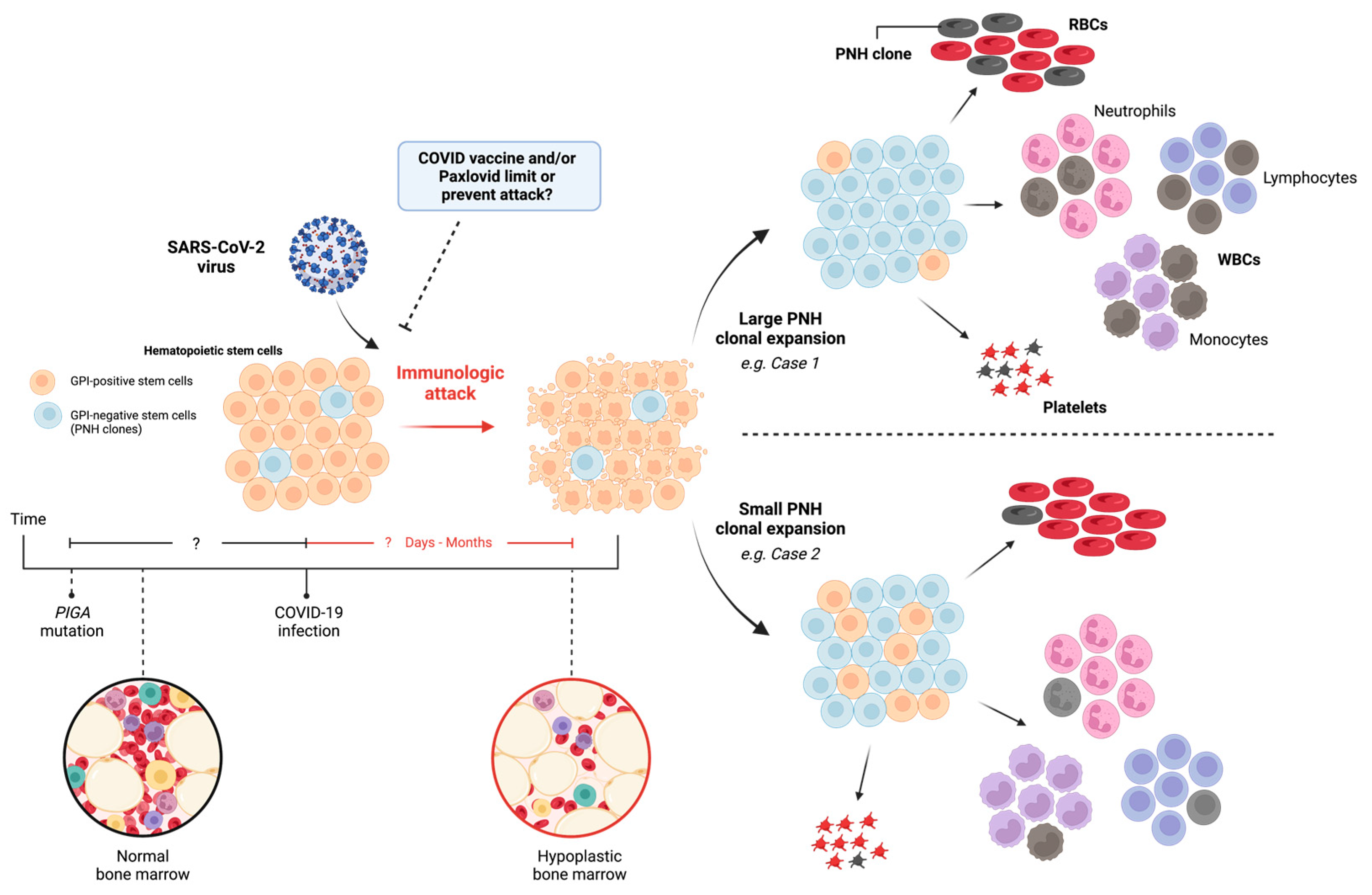 Preprints 82970 g001
