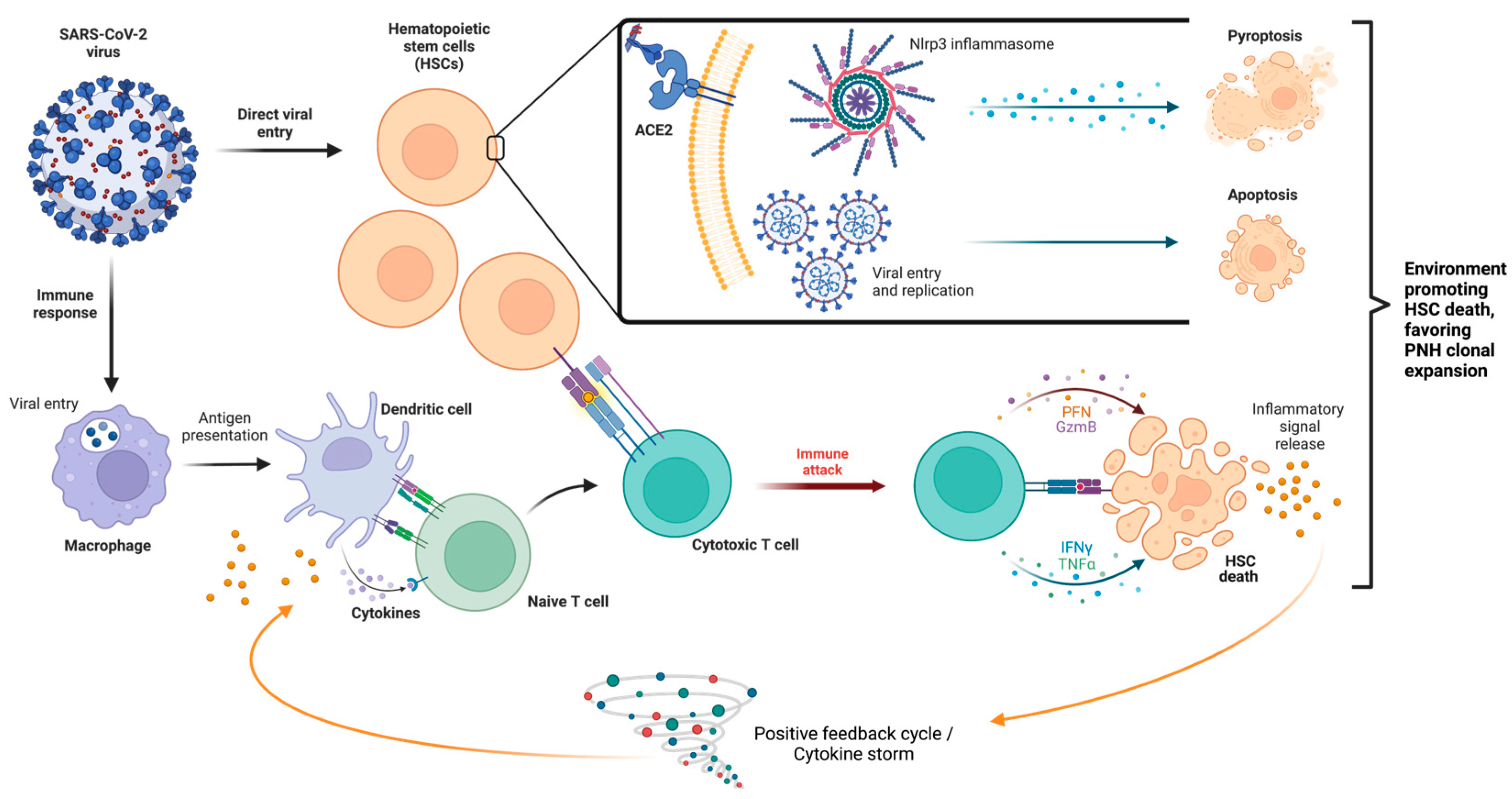 Preprints 82970 g002