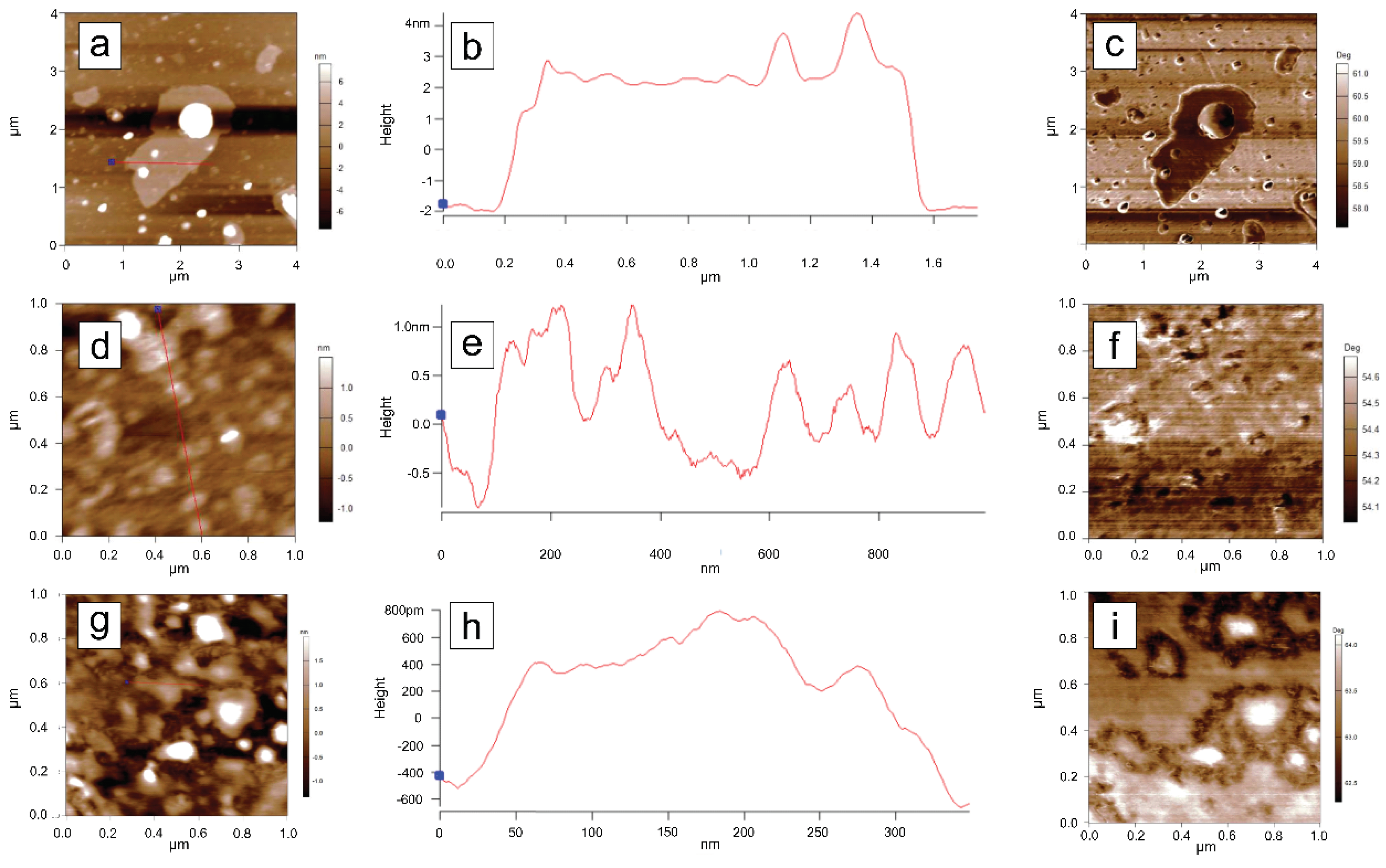 Preprints 159399 g009