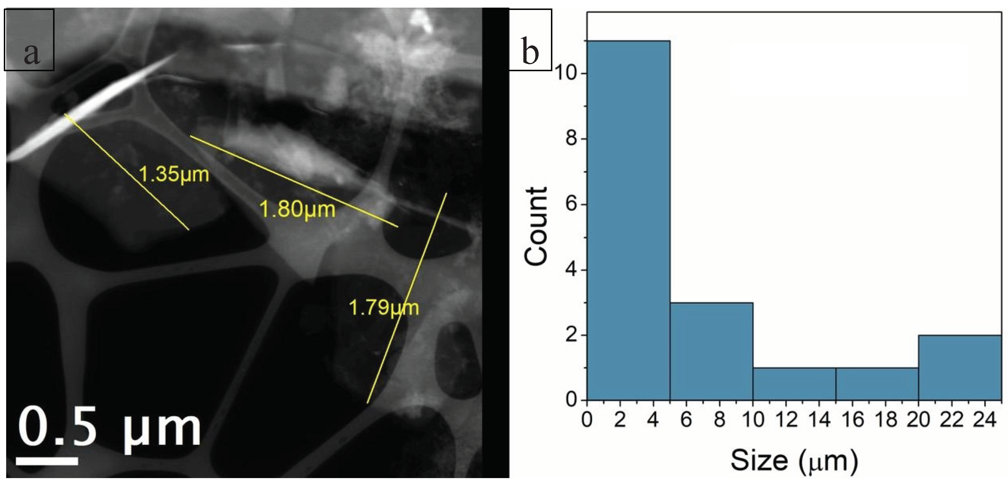 Preprints 159399 g010