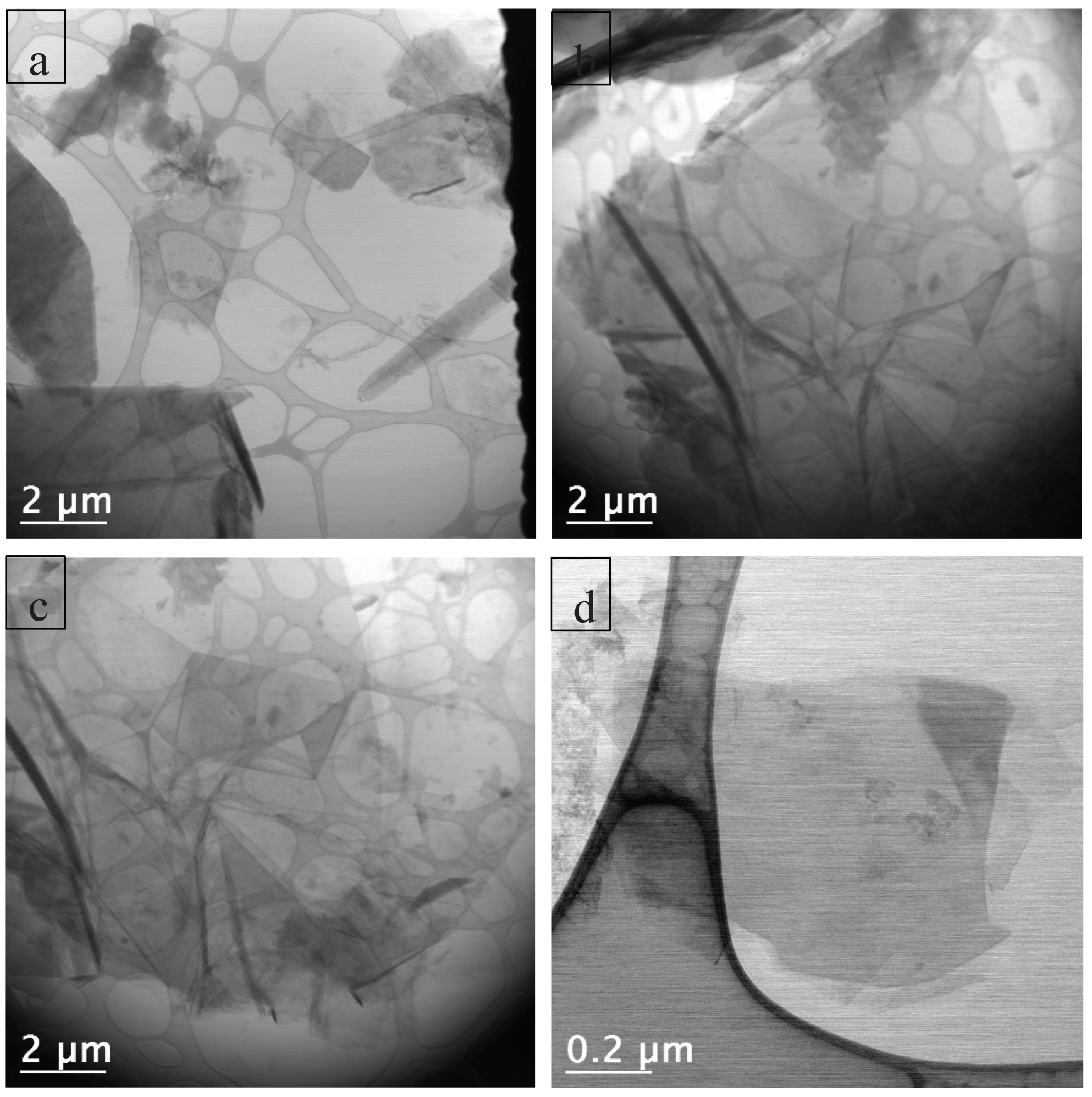 Preprints 159399 g011